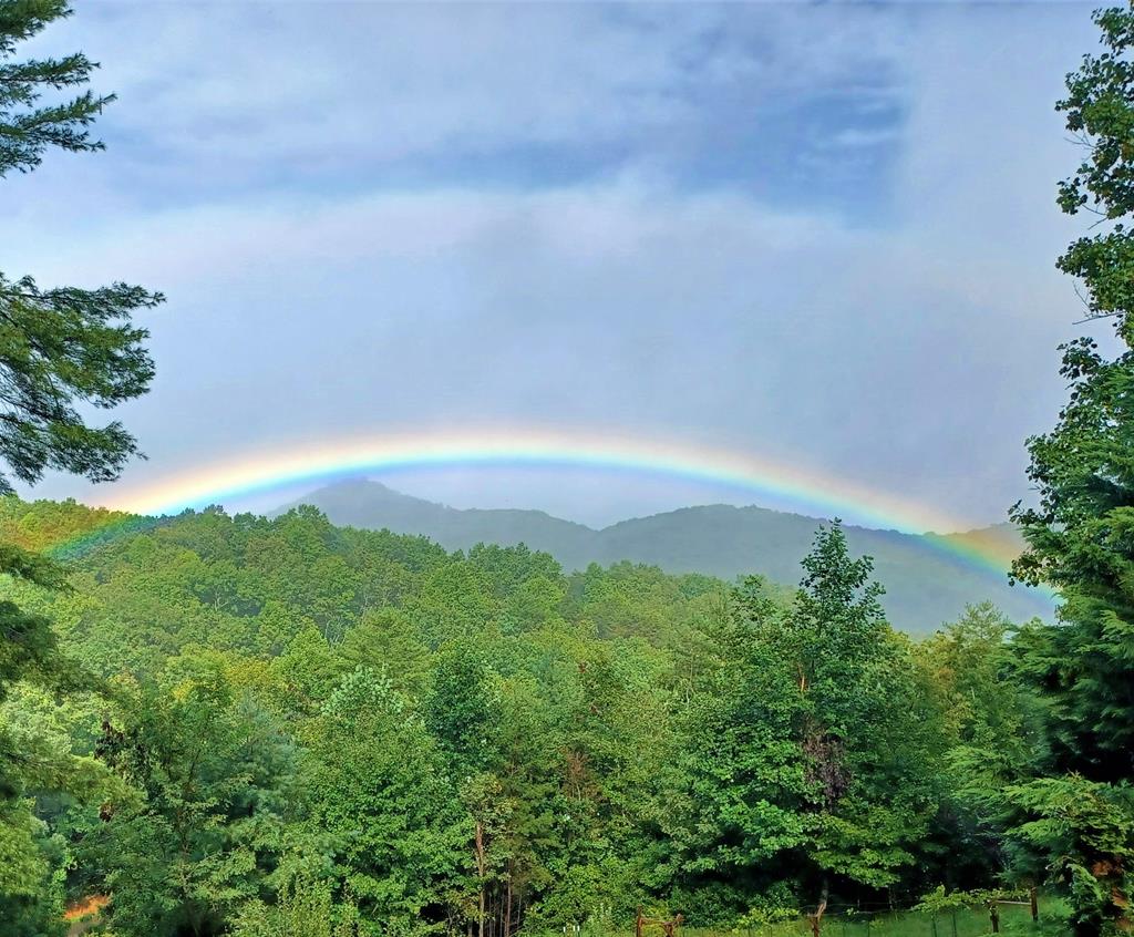 Ellijay, Georgia, 30536, United States, 2 Bedrooms Bedrooms, ,3 BathroomsBathrooms,Residential,For Sale,2034999