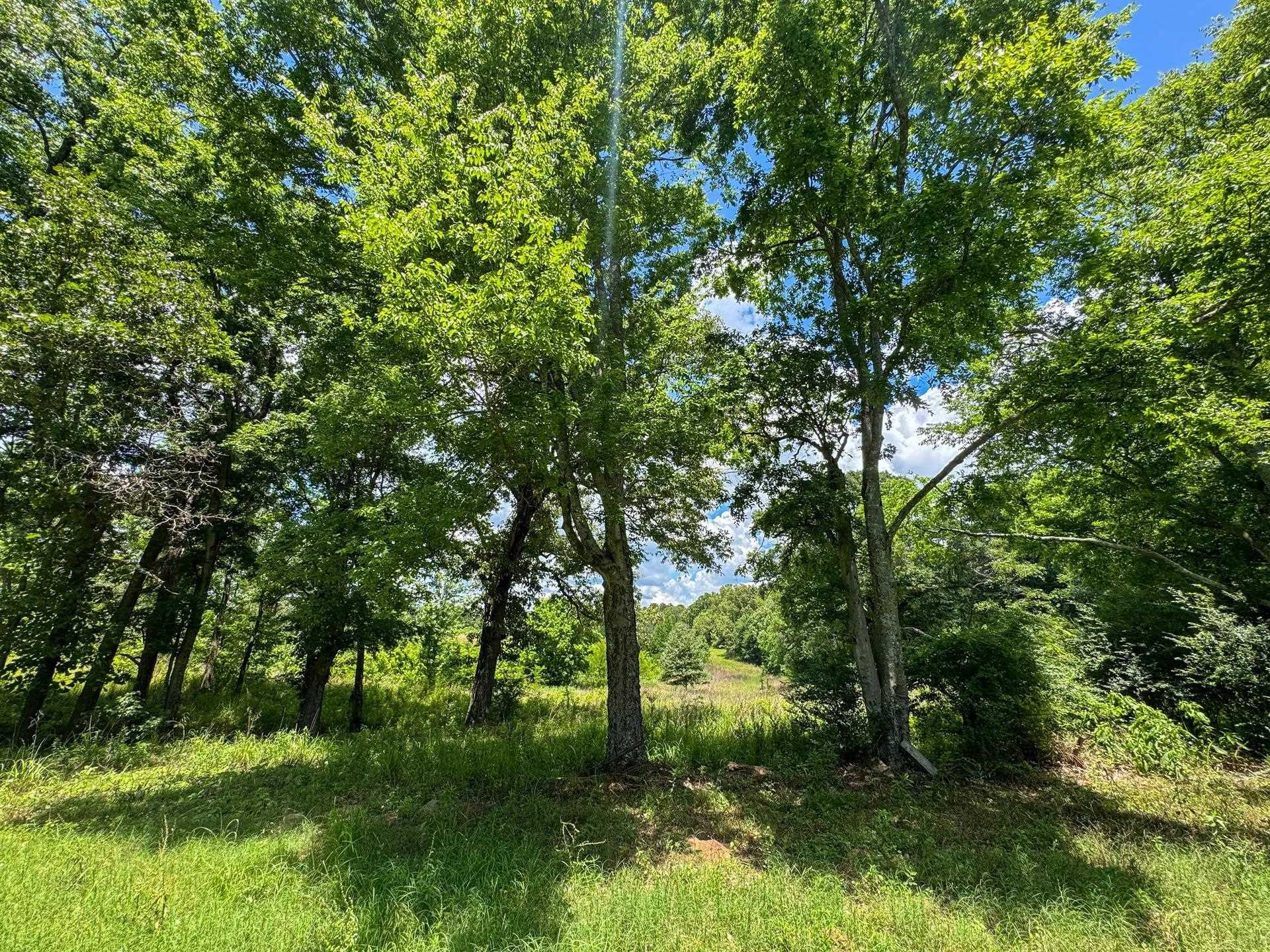 Douglassville, Texas, 75560, United States, ,Land,For Sale,2048006