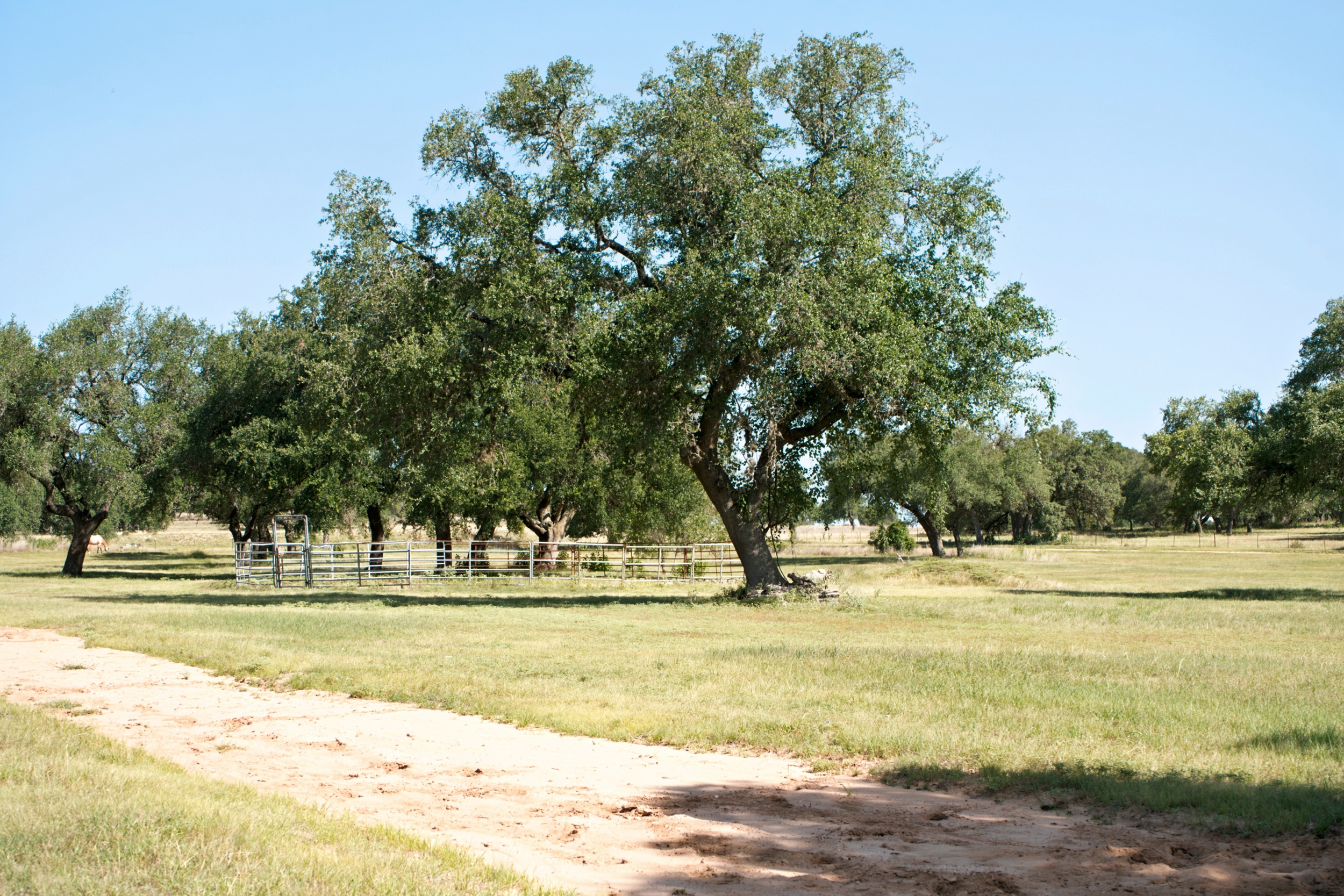  Uballe Ranch in Blanco County - 物件實景