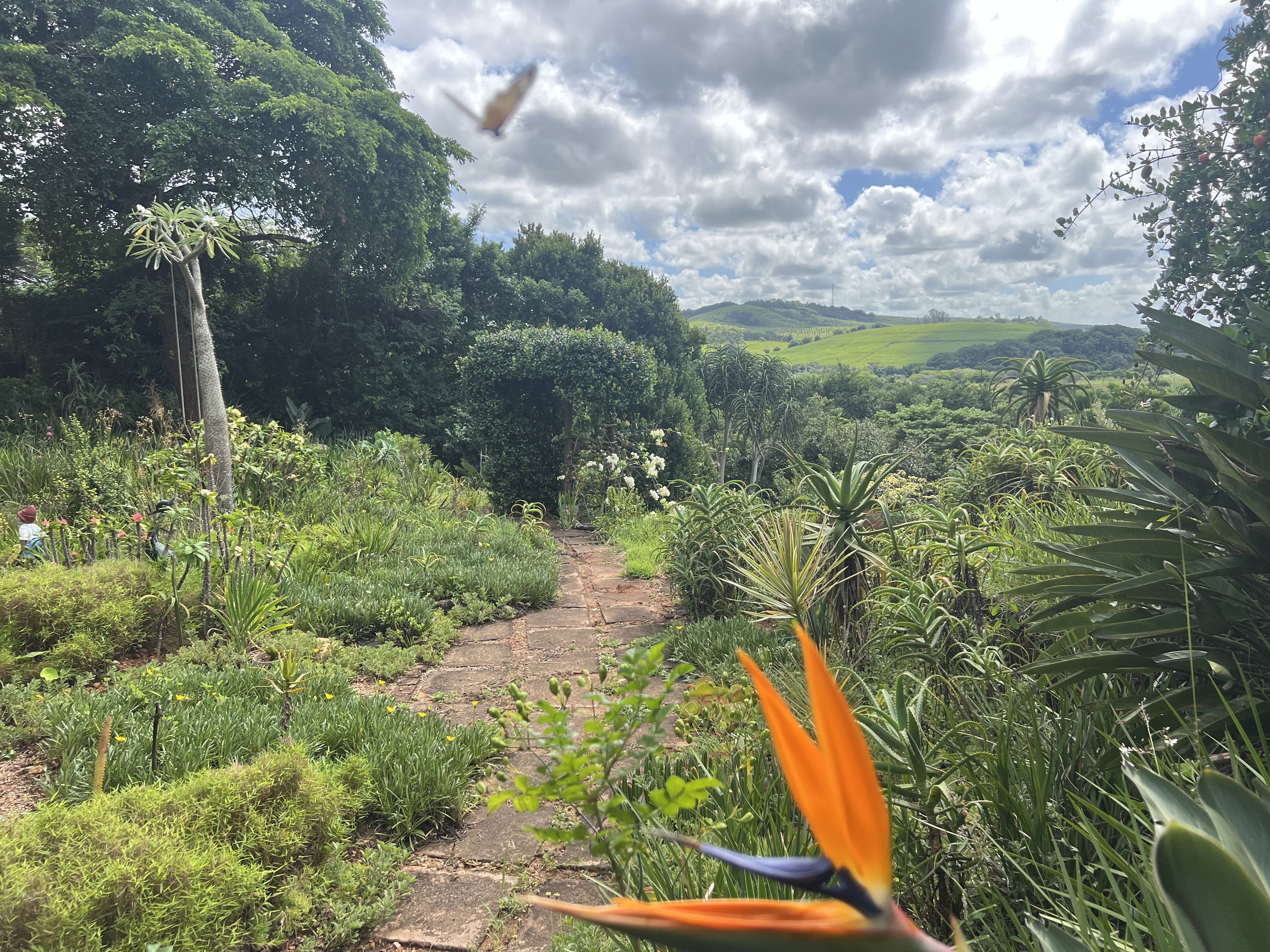  Meticulously maintained home with thoughtfully curated living spaces - 物件實景