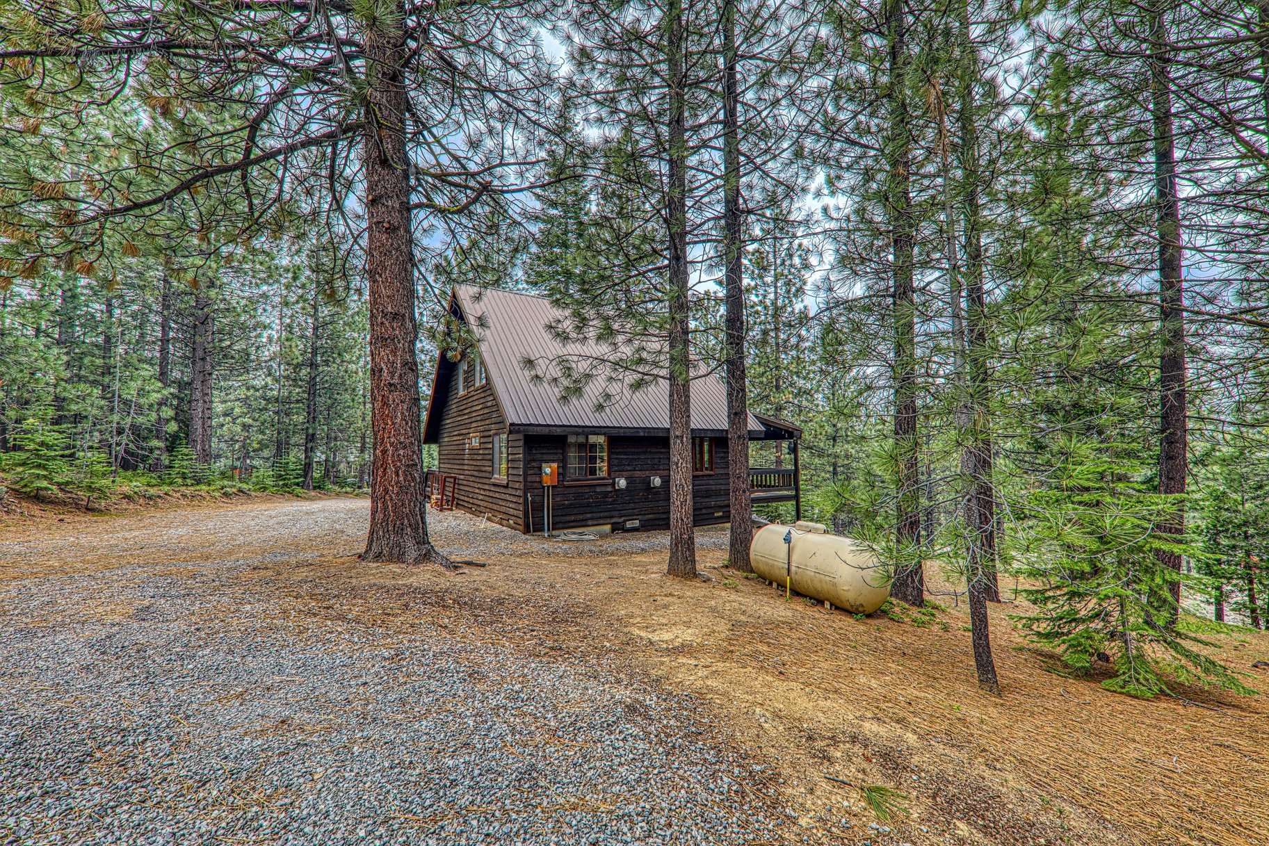  Cozy Cabin near Lake Davis - 物件實景