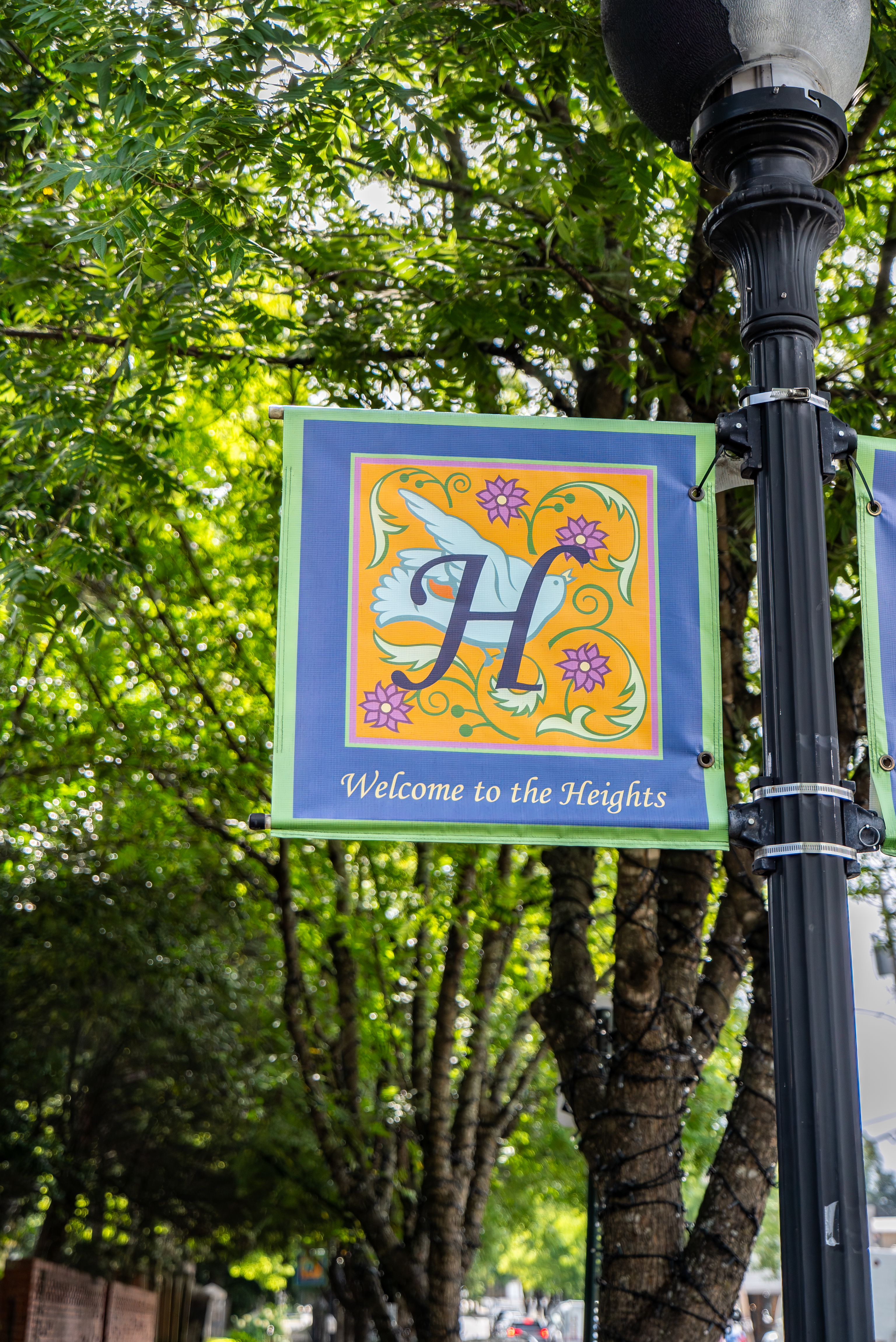  2500 N Taylor St, Little Rock, AR, 72207 - 物件實景