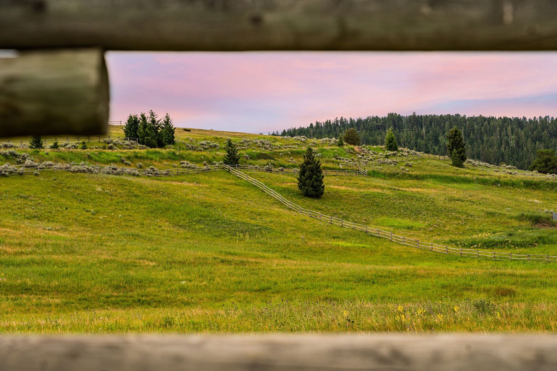  215 Timberline Creek Dr - 物件實景
