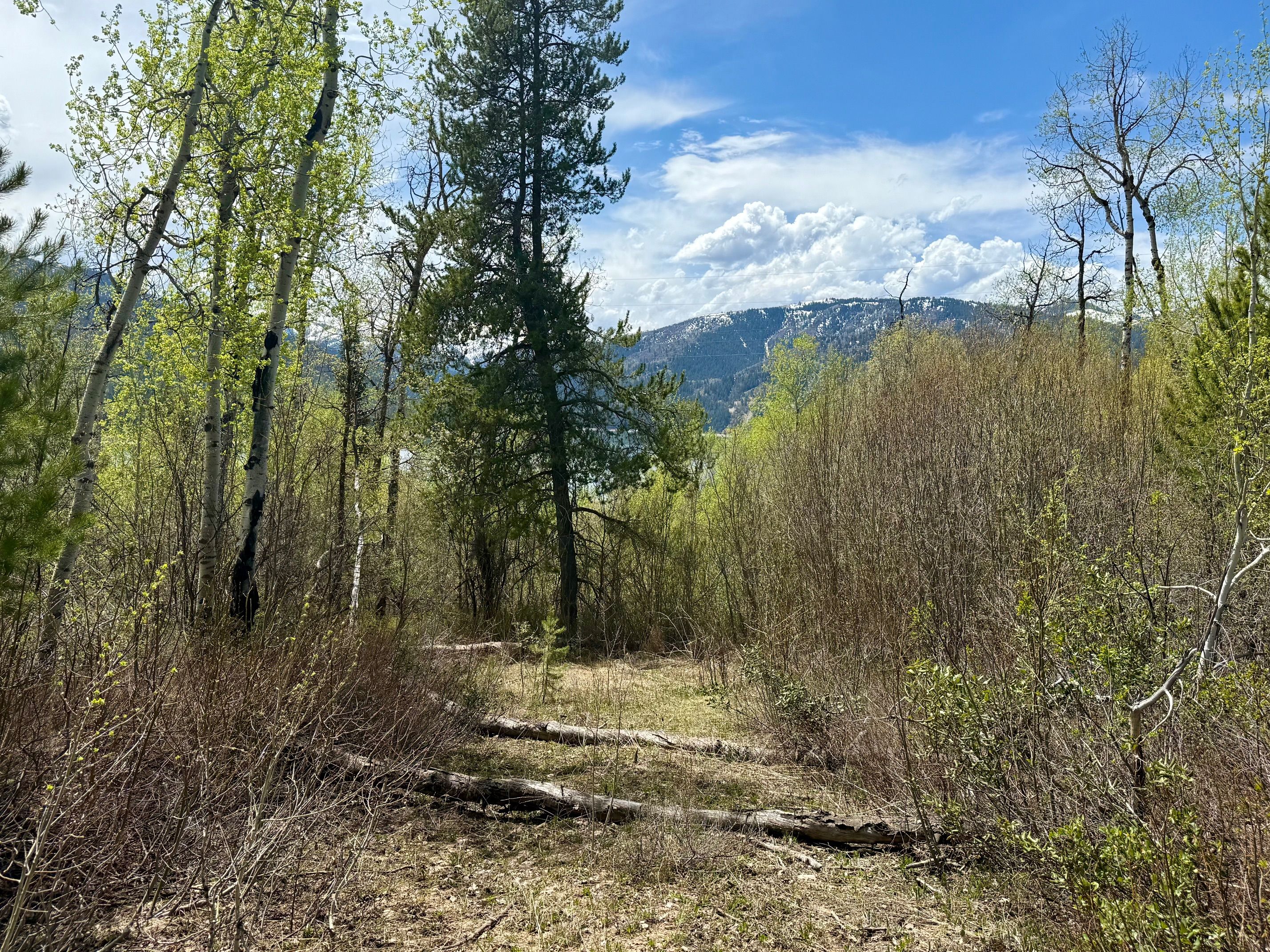  Property Overlooking the Palisades Reservoir - 物件實景