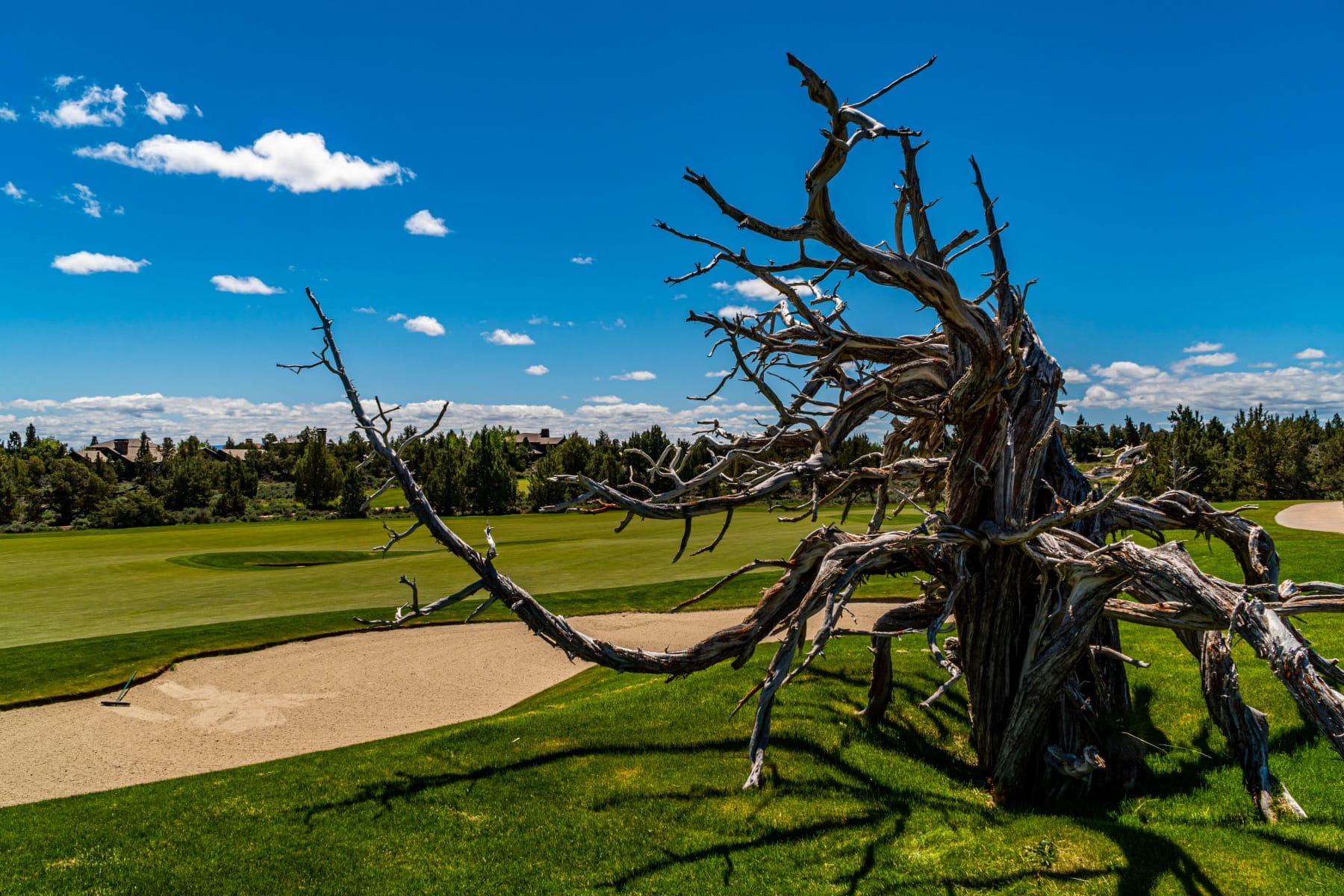  65845 Pronghorn Estates Drive #Lot 44 Bend, OR 97701 - 物件實景
