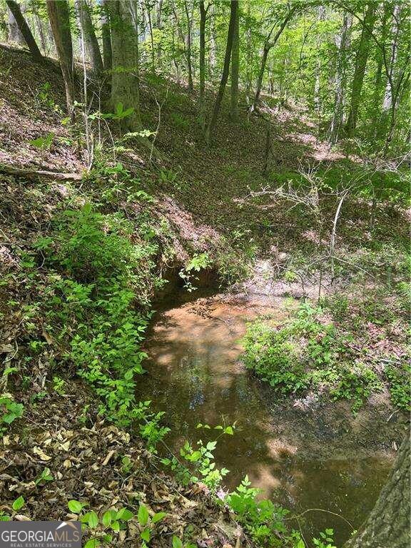 Waleska, Georgia, 30183, United States, ,Land,For Sale,1929807