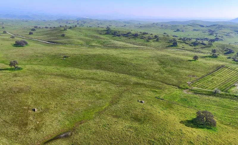 Madera, California, 93636, United States, ,Residential,For Sale,2014215