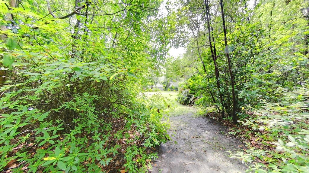 Thomasville, Georgia, 31792, United States, 3 Bedrooms Bedrooms, ,3 BathroomsBathrooms,Residential,For Sale,2005242