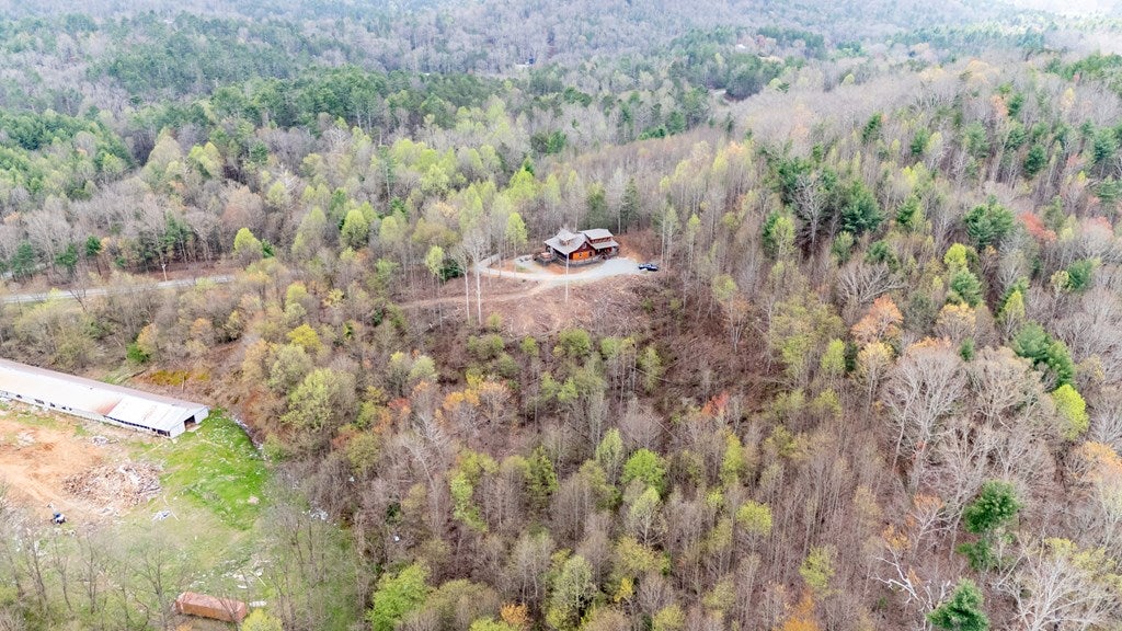 Blue Ridge, Georgia, 30513, United States, 4 Bedrooms Bedrooms, ,3 BathroomsBathrooms,Residential,For Sale,1762405
