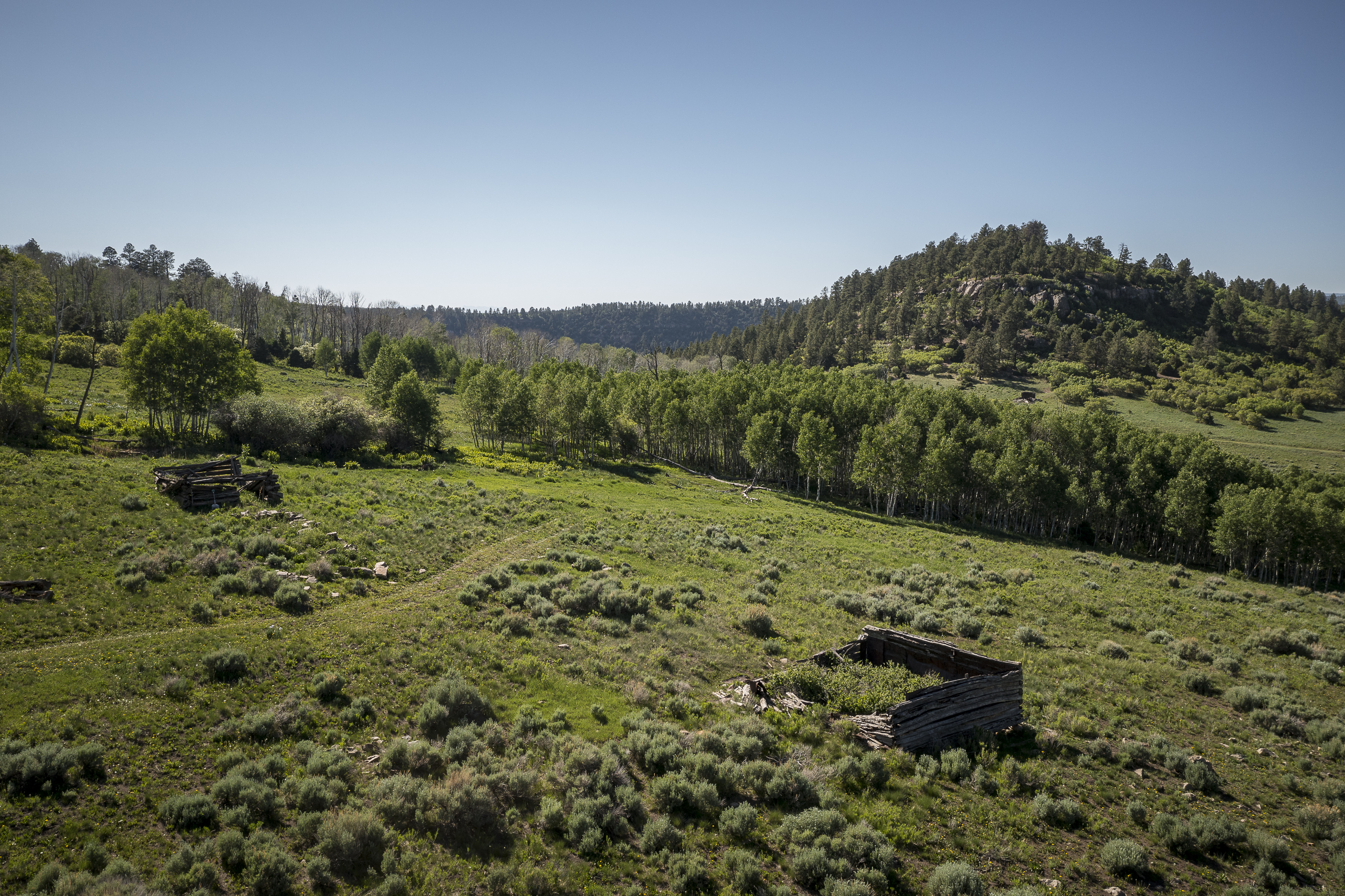 Telluride Renegade Ranch - 602 acres on Hastings Mesa - 物件實景