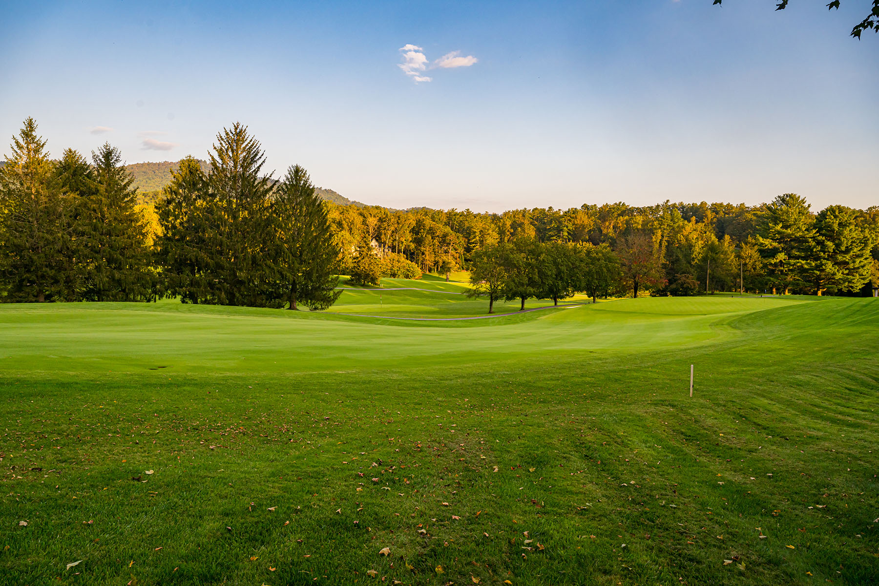  ASHEVILLE - 物件實景