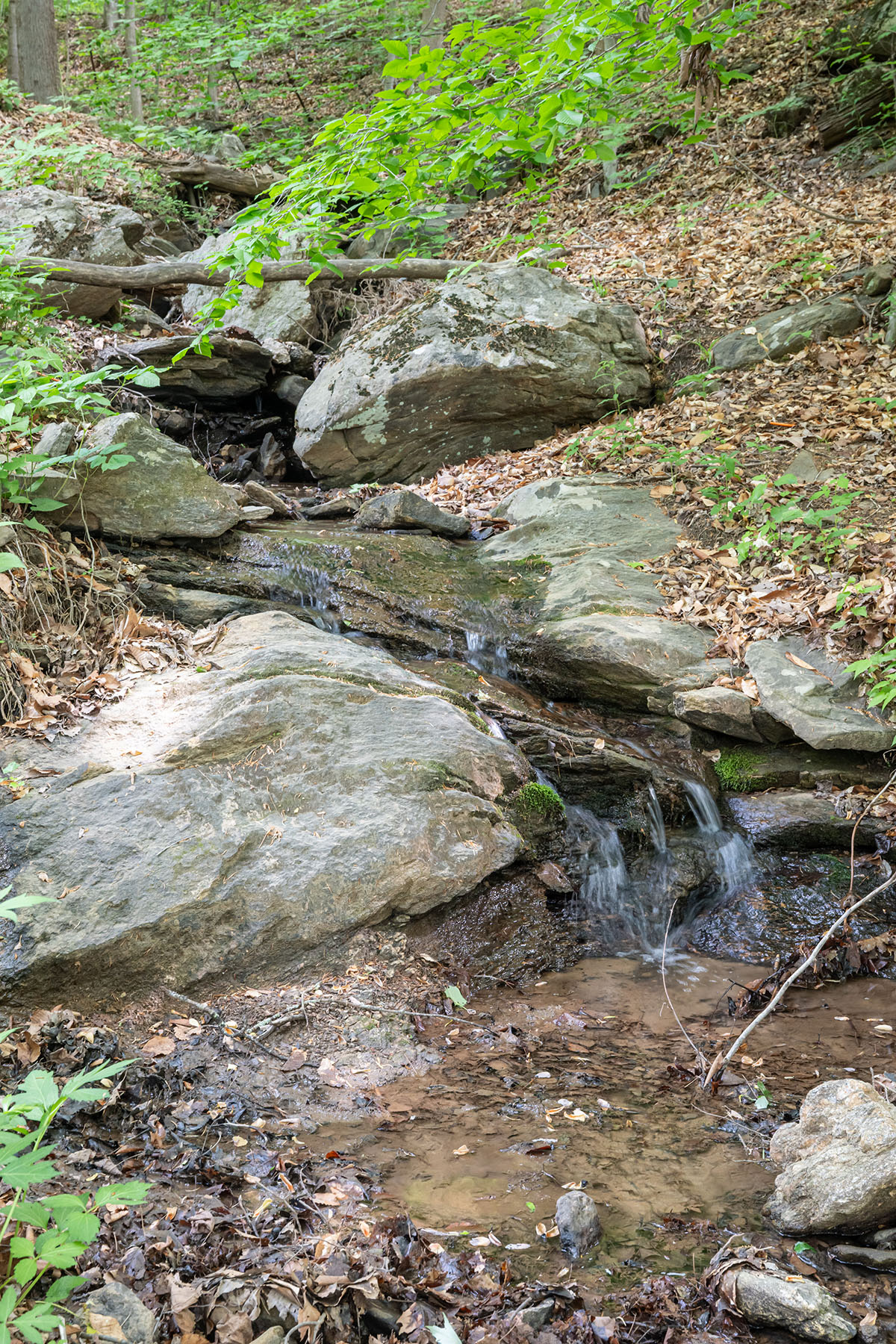  ASHEVILLE - 物件實景
