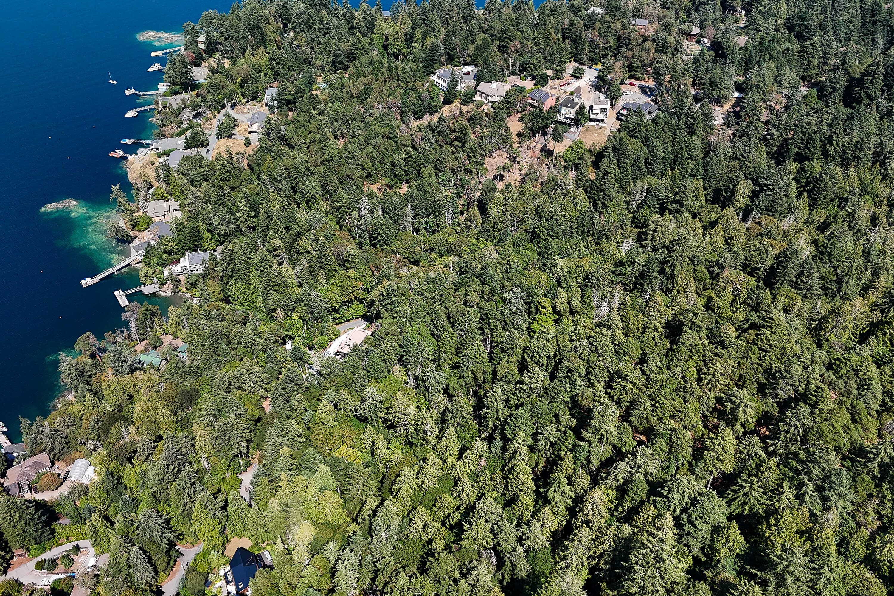  Scenic Peninsula Acreage - 物件實景
