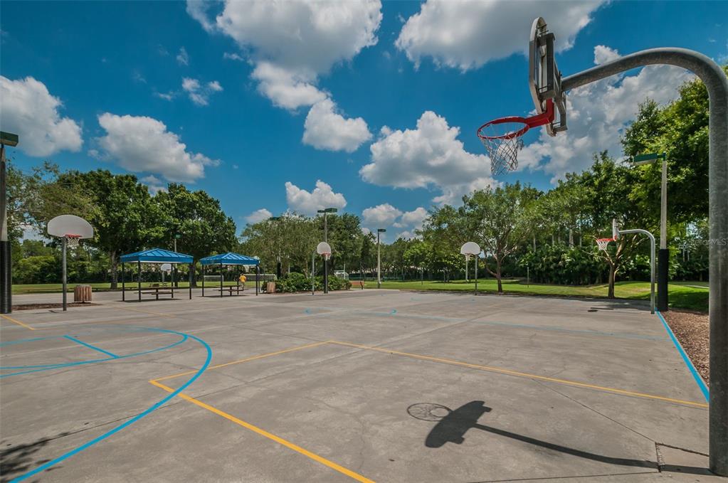 Palm Harbor, Florida, 34685, United States, 4 Bedrooms Bedrooms, ,3 BathroomsBathrooms,Residential,For Sale,1987675