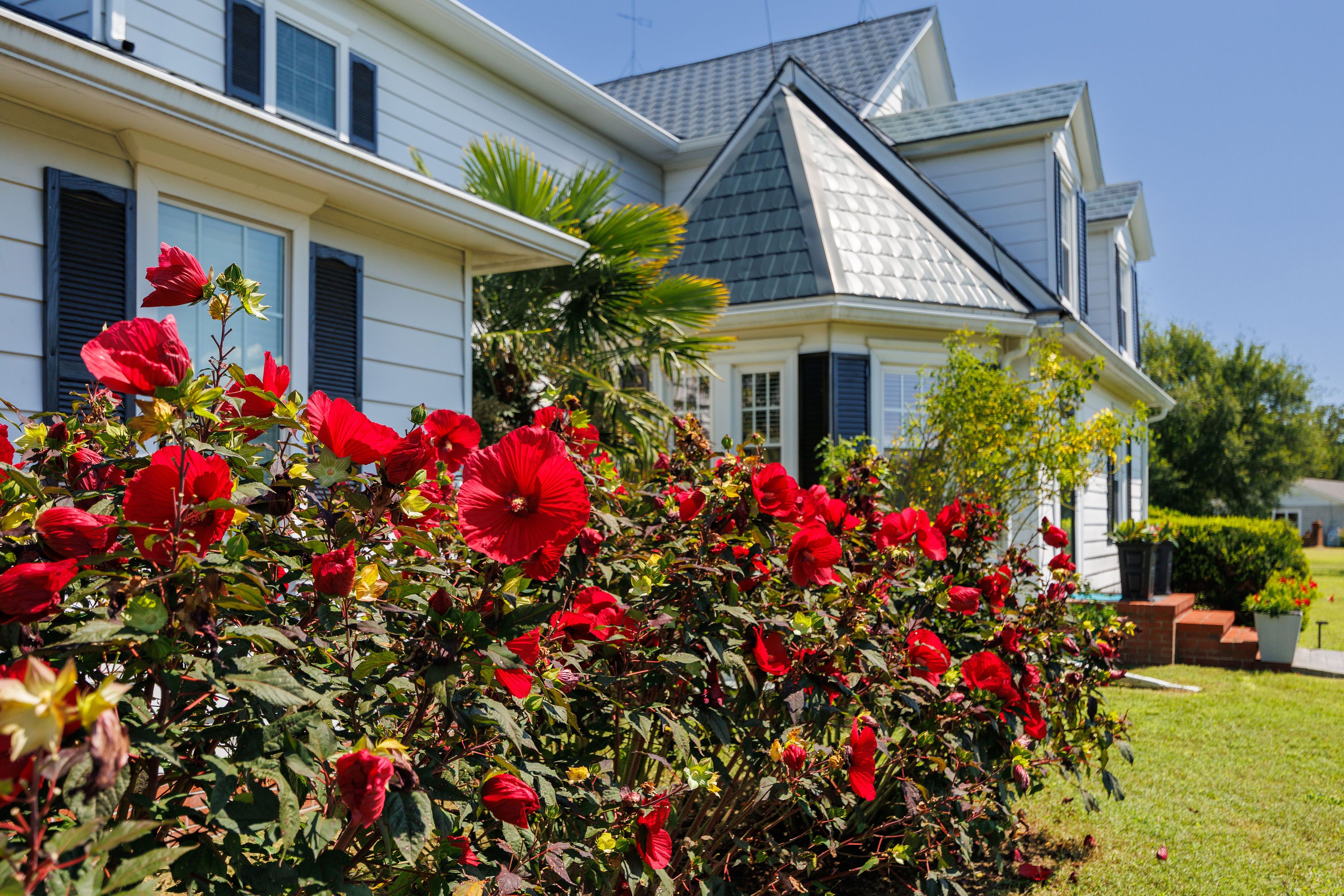  344 Tammy Drive, White Stone, VA 22578 - 物件實景