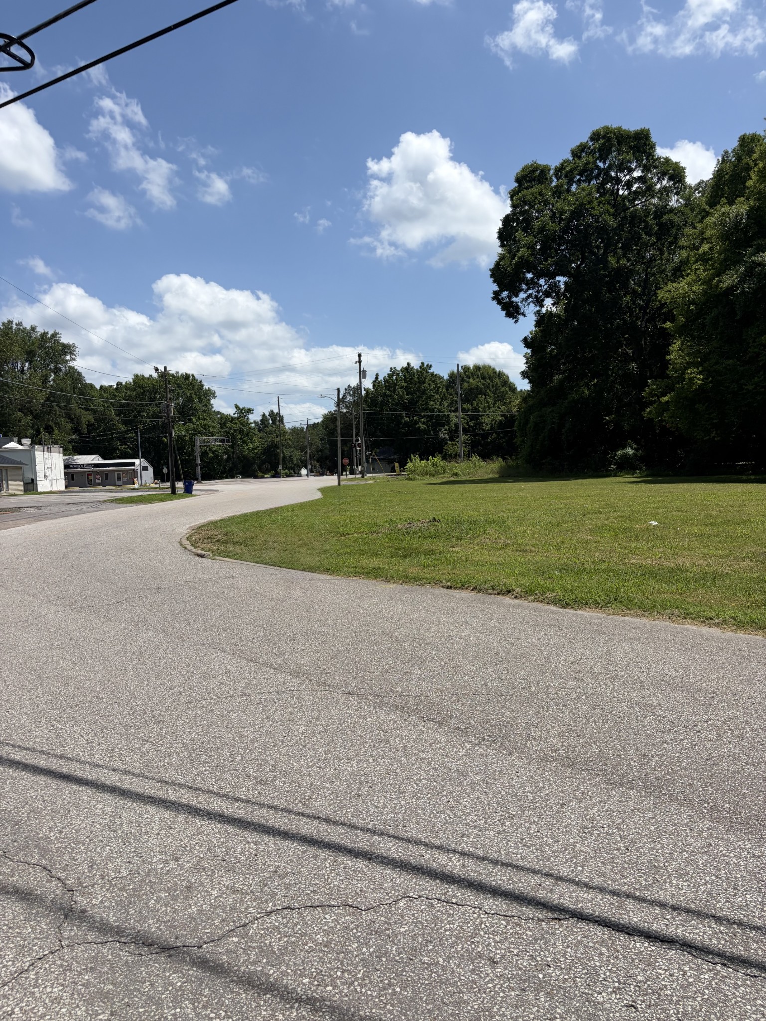  0 Euclid Avenue, Mc Kenzie, TN, 38201 - 物件實景