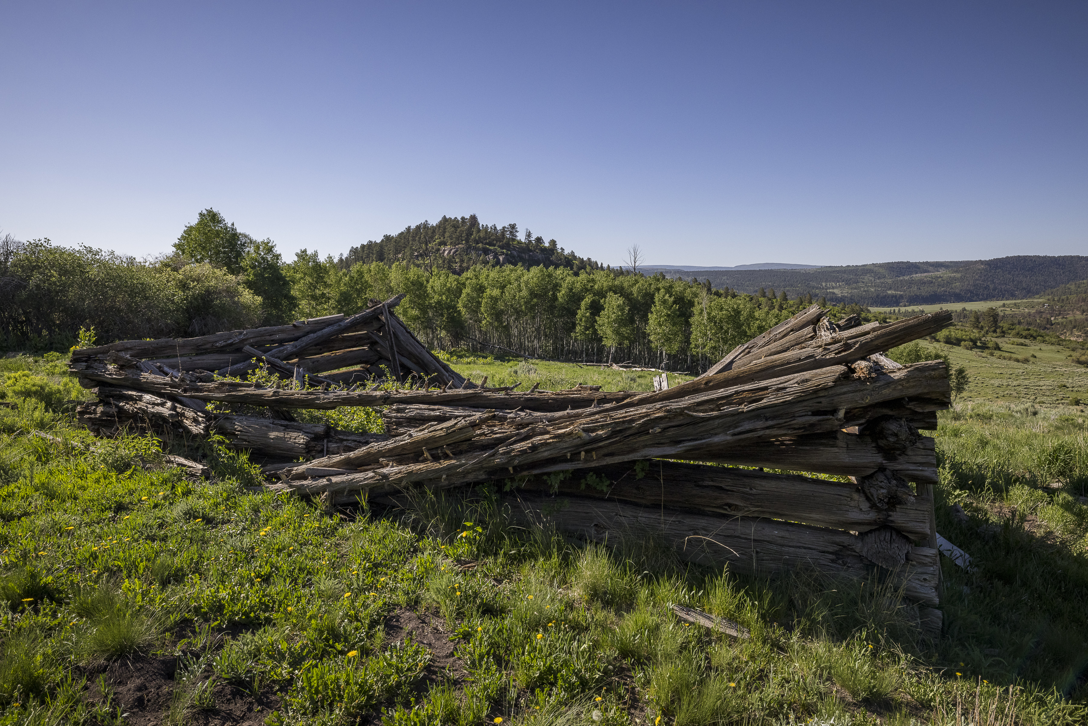  Telluride Renegade Ranch - 602 acres on Hastings Mesa - 物件實景