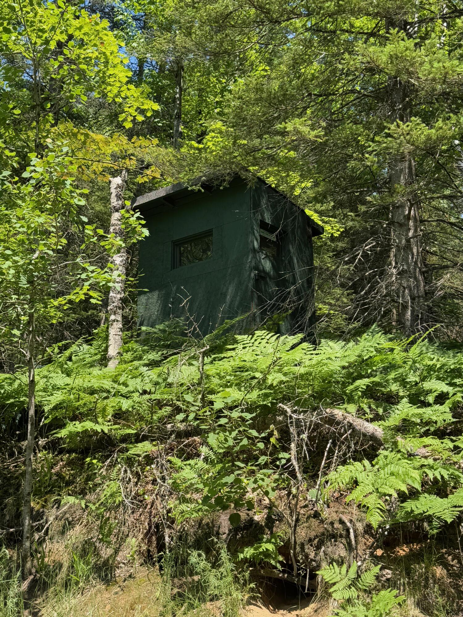 Wolverine, Michigan, 49799, United States, 2 Bedrooms Bedrooms, ,2 BathroomsBathrooms,Residential,For Sale,1885505