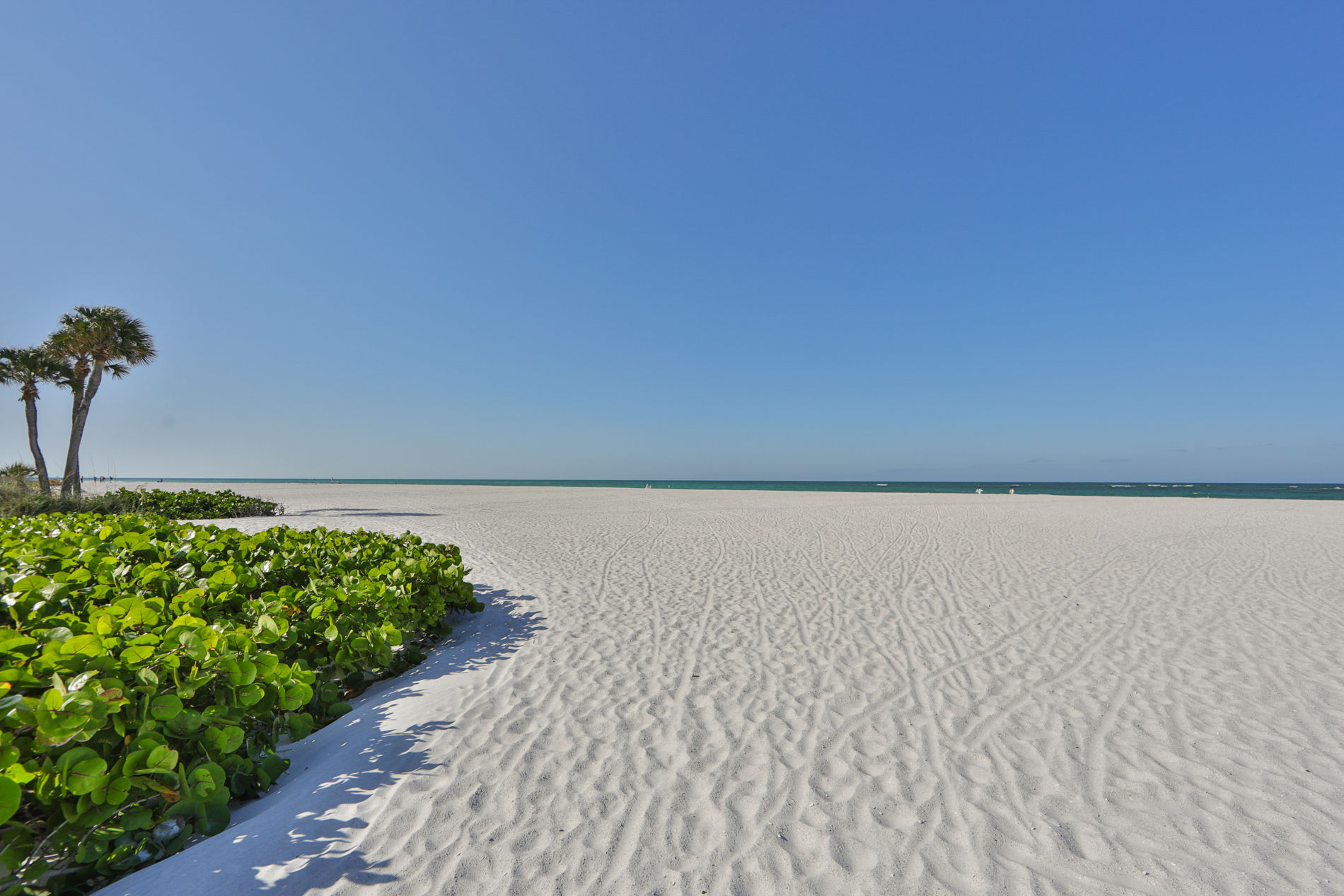 Treasure Island, Florida, 33706, United States, ,Land,For Sale,1984421