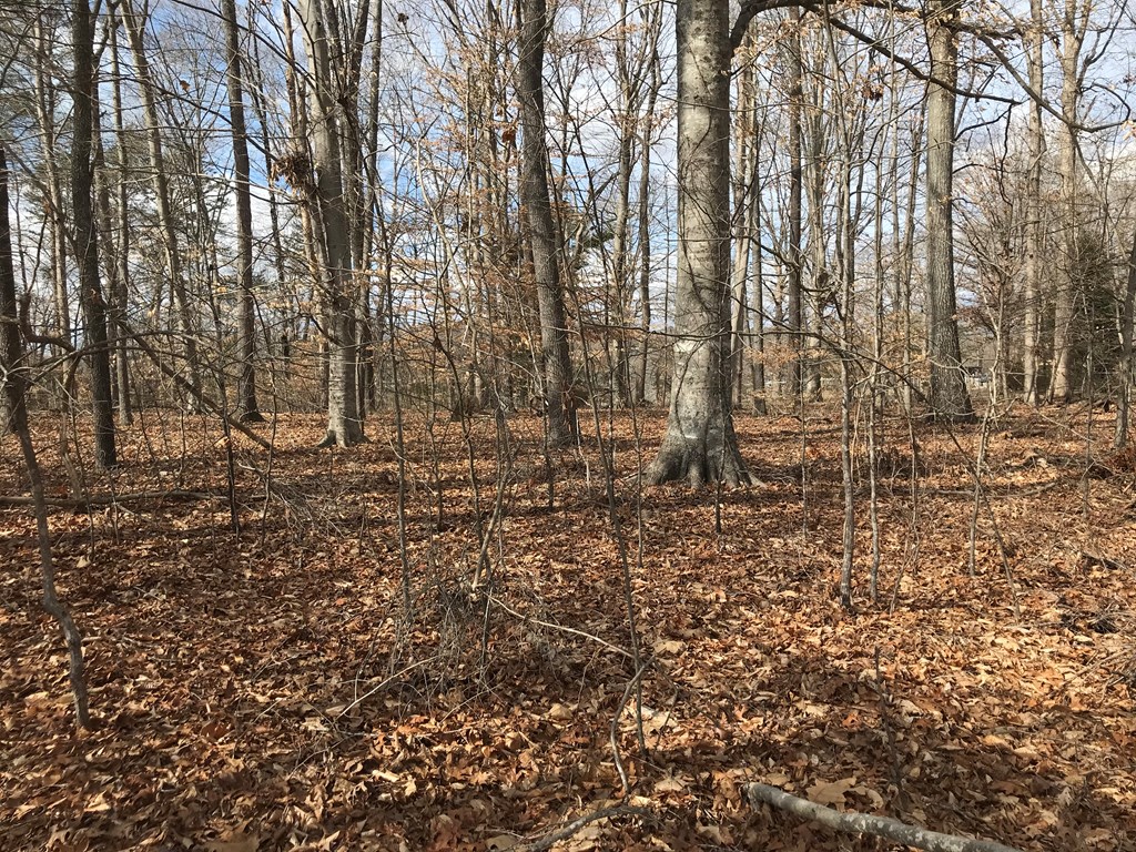 White Pine, Tennessee, 37890, United States, ,Residential,For Sale,1887225