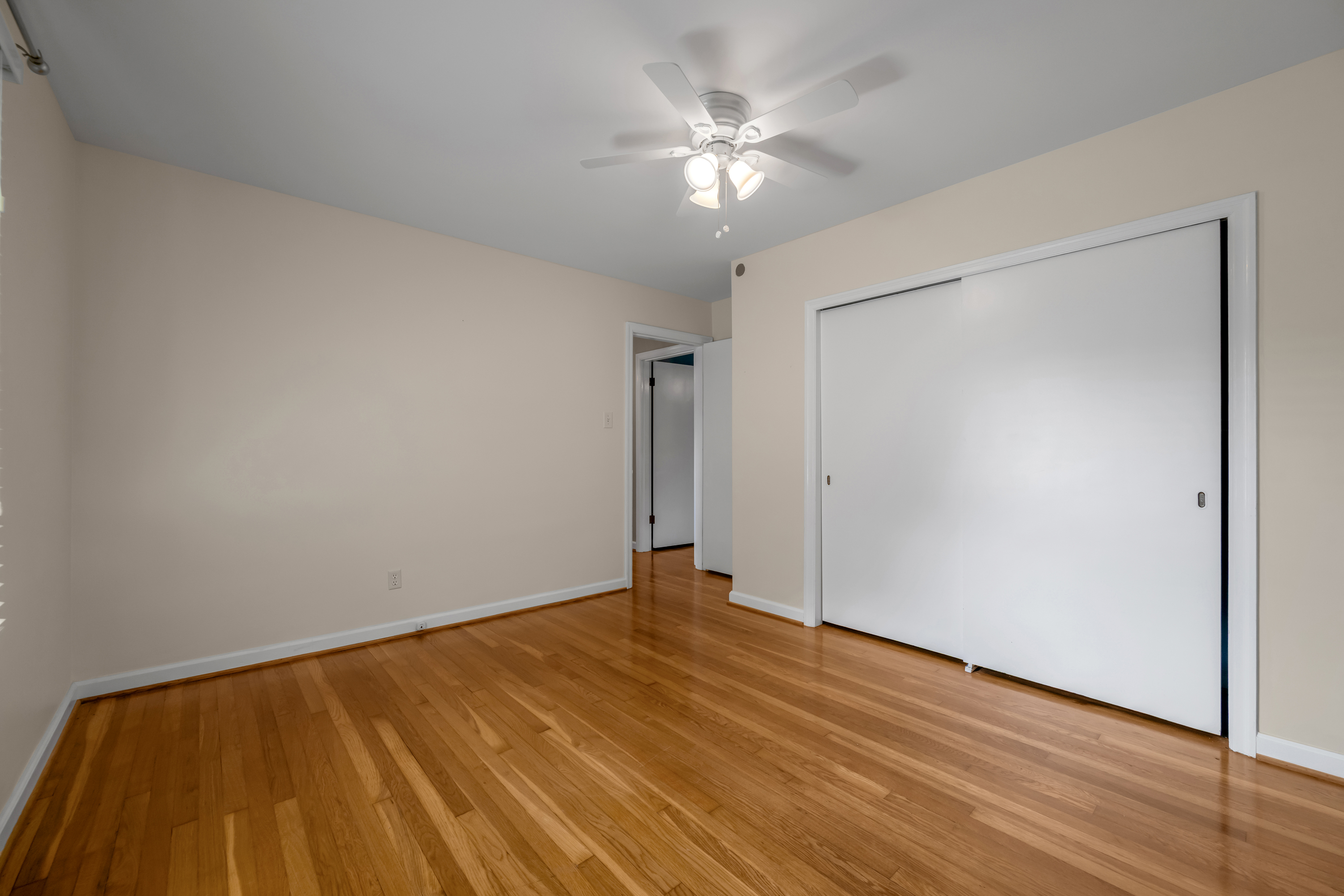  352 Albany Road - 物件實景