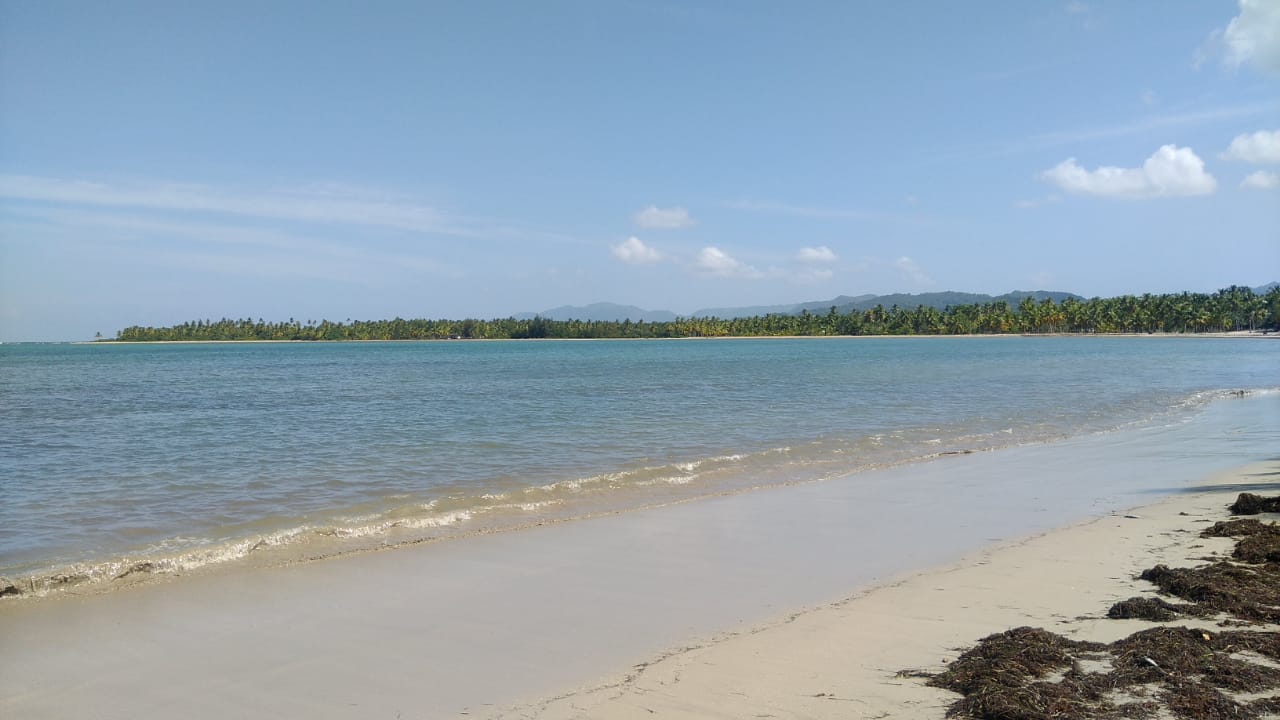 Las Terrenas, DO, ,Land,For Sale,1620981