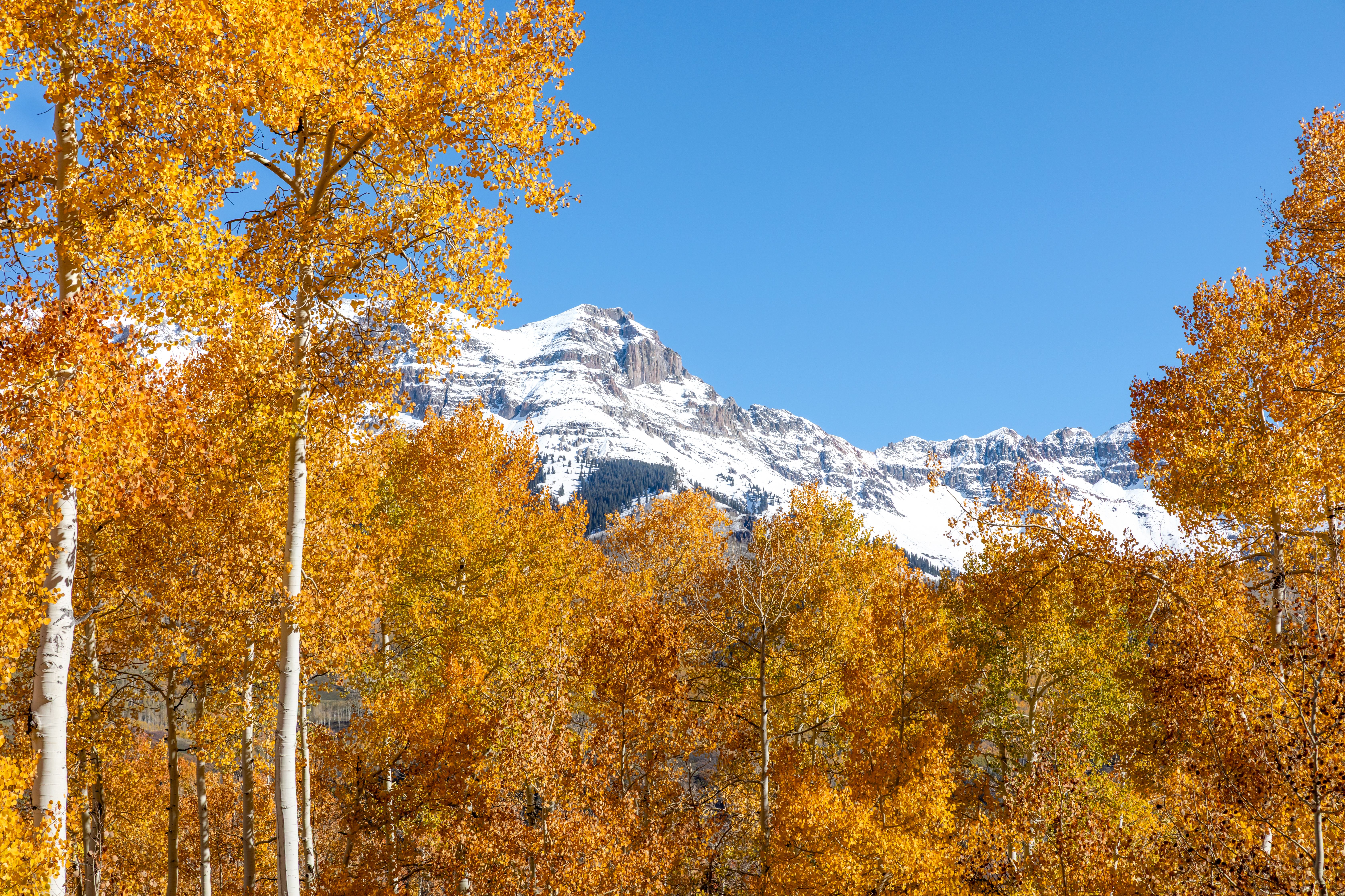  Set Among The Aspens On Just Over An Acre - 物件實景