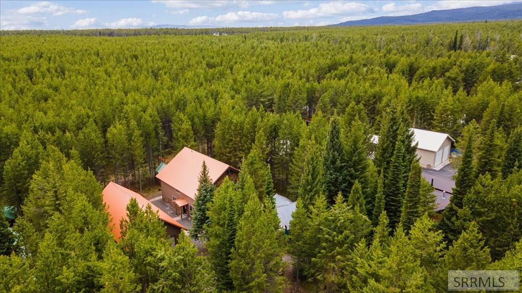 ISLAND PARK, Idaho, 83429, United States, 5 Bedrooms Bedrooms, ,3 BathroomsBathrooms,Residential,For Sale,2005843