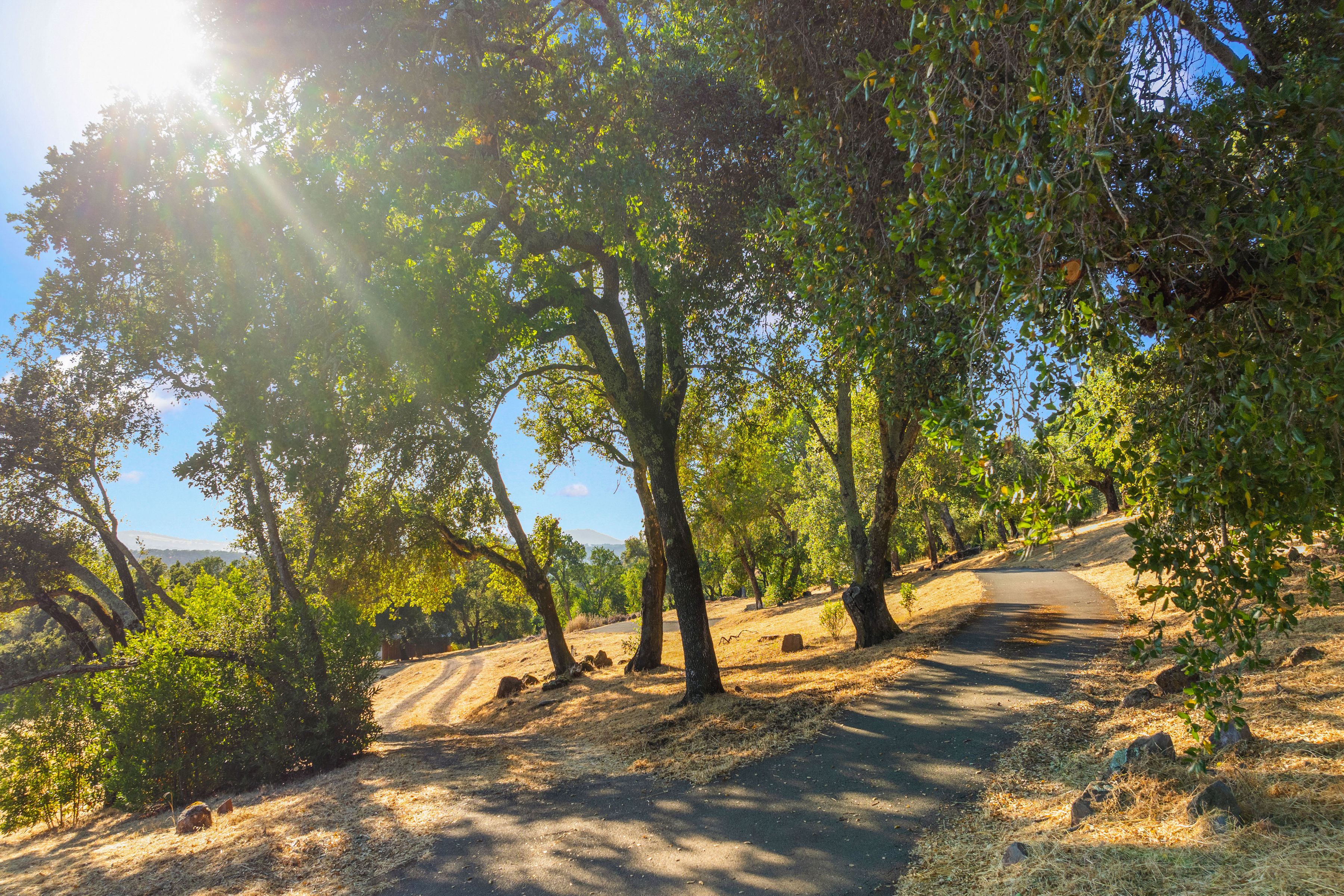  14347 Highway 12 - 物件實景