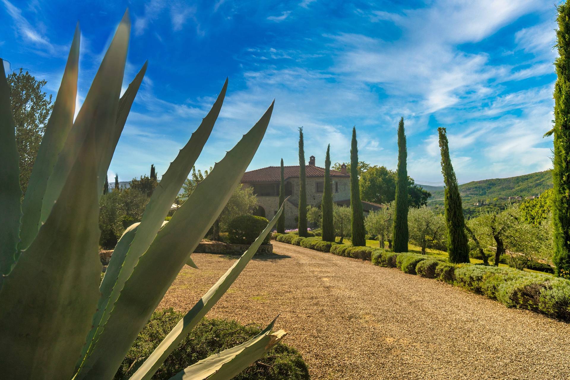 SC di Cennina, 52021 Bucine AR, Bucine, Arezzo, 52021, IT, 7 Bedrooms Bedrooms, ,6 BathroomsBathrooms,Residential,For Sale,SC di Cennina, 52021 Bucine AR,1673510