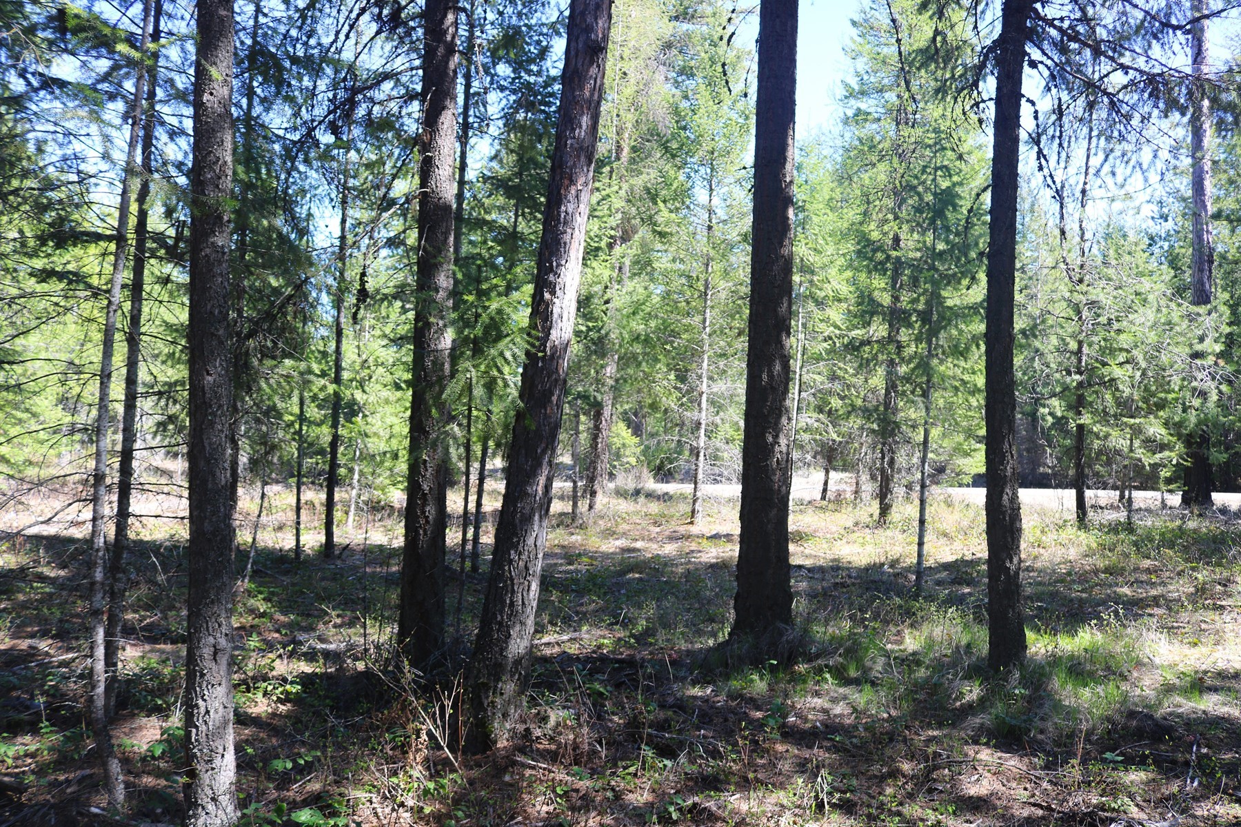  Community Waterfront Parcel - 物件實景