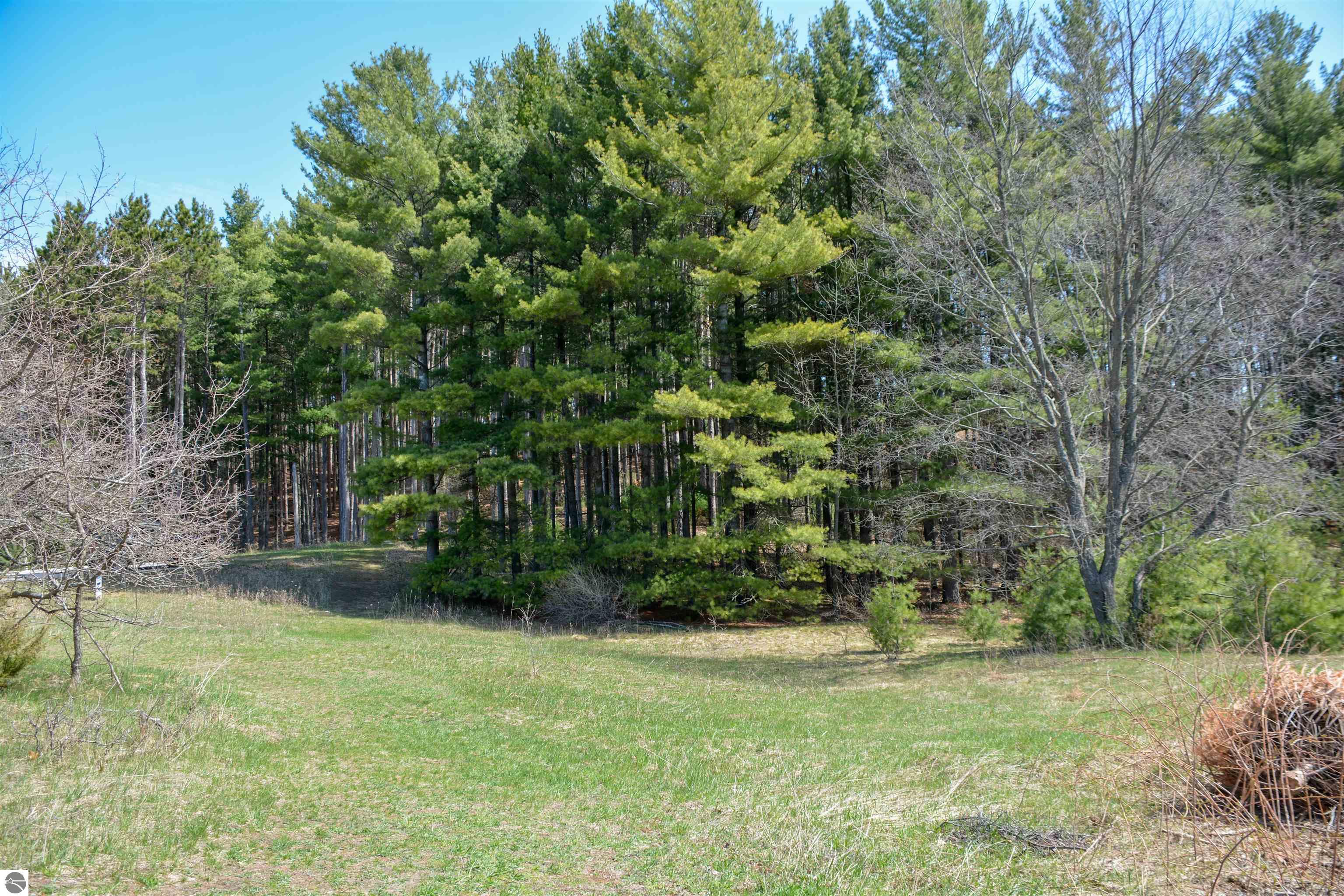 Traverse City, Michigan, 49696, United States, ,Land,For Sale,1850292