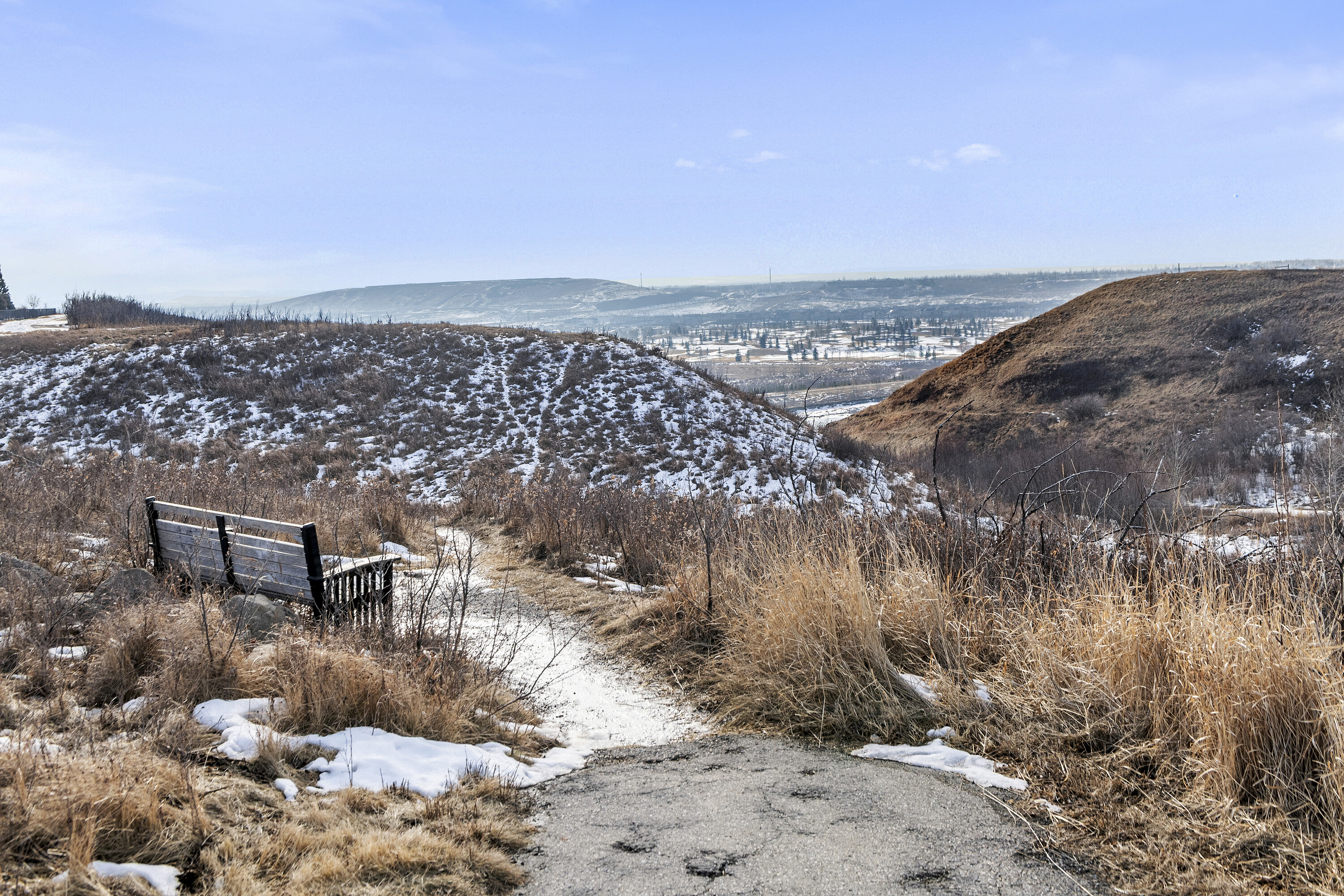  Calgary, Calgary and Foothills - 物件實景