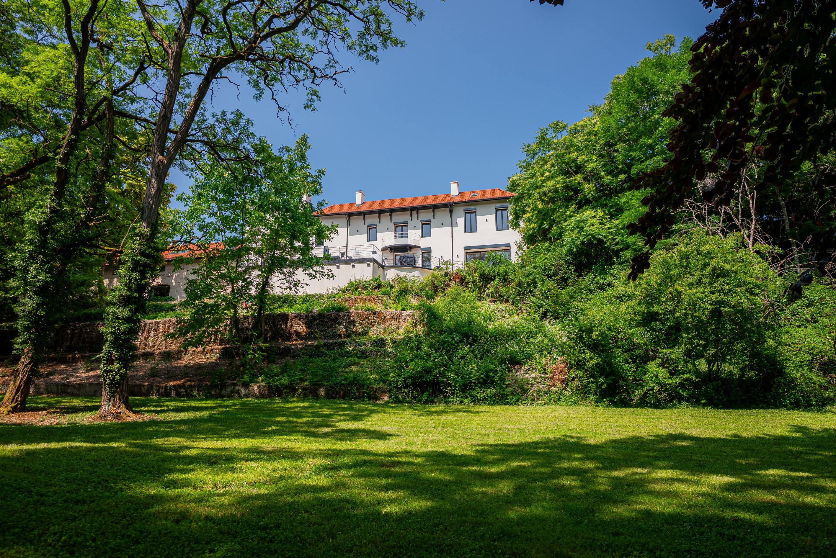  Dijon-Renovated Exceptional Property – Vineyard Views – - 物件實景