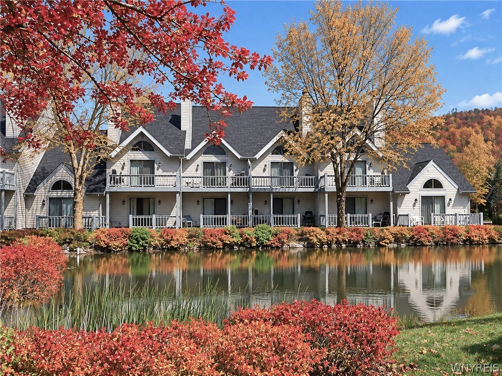 Wildflower , Ellicottville, NY 14731