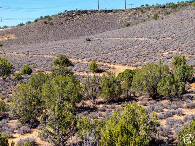 Diamond Valley, Utah, 84770, United States, ,Residential,For Sale,1982151