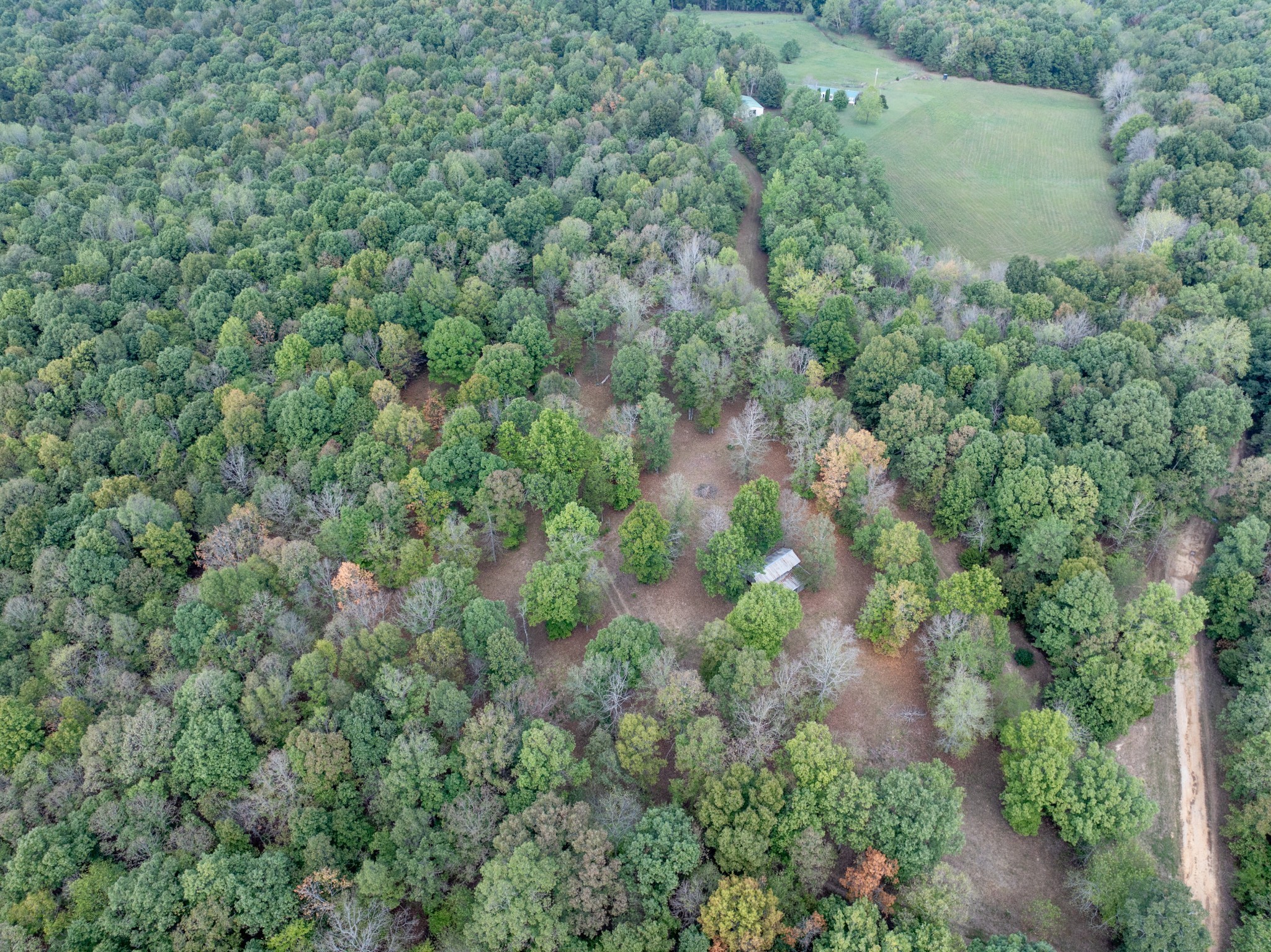 Mc Ewen, Tennessee, 37101, United States, ,Residential,For Sale,1923664
