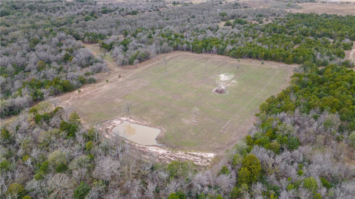Thornton, Texas, 76687, United States, ,Land,For Sale,2003074