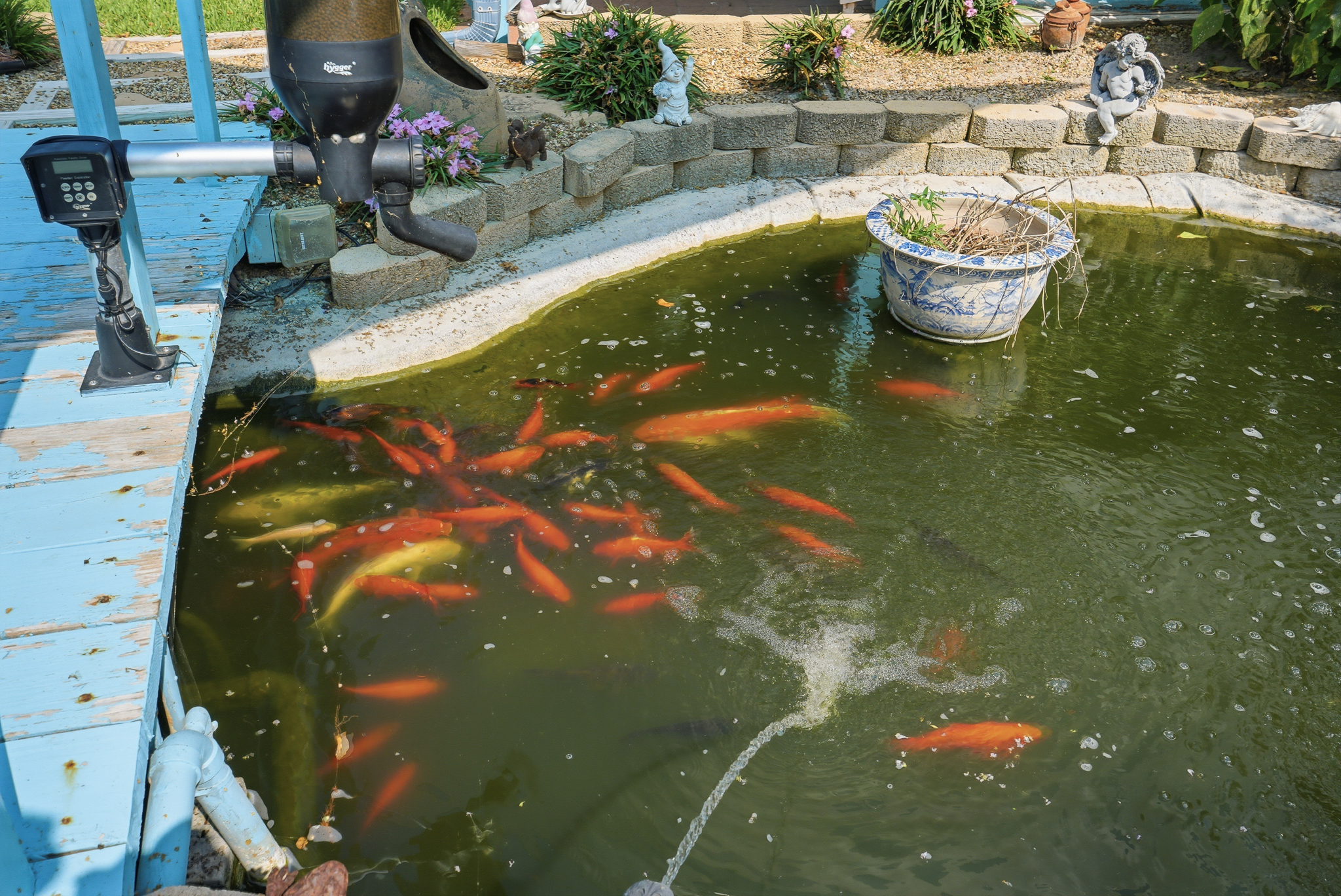  Move-In Ready with Stunning Koi Pond Retreat - 物件實景