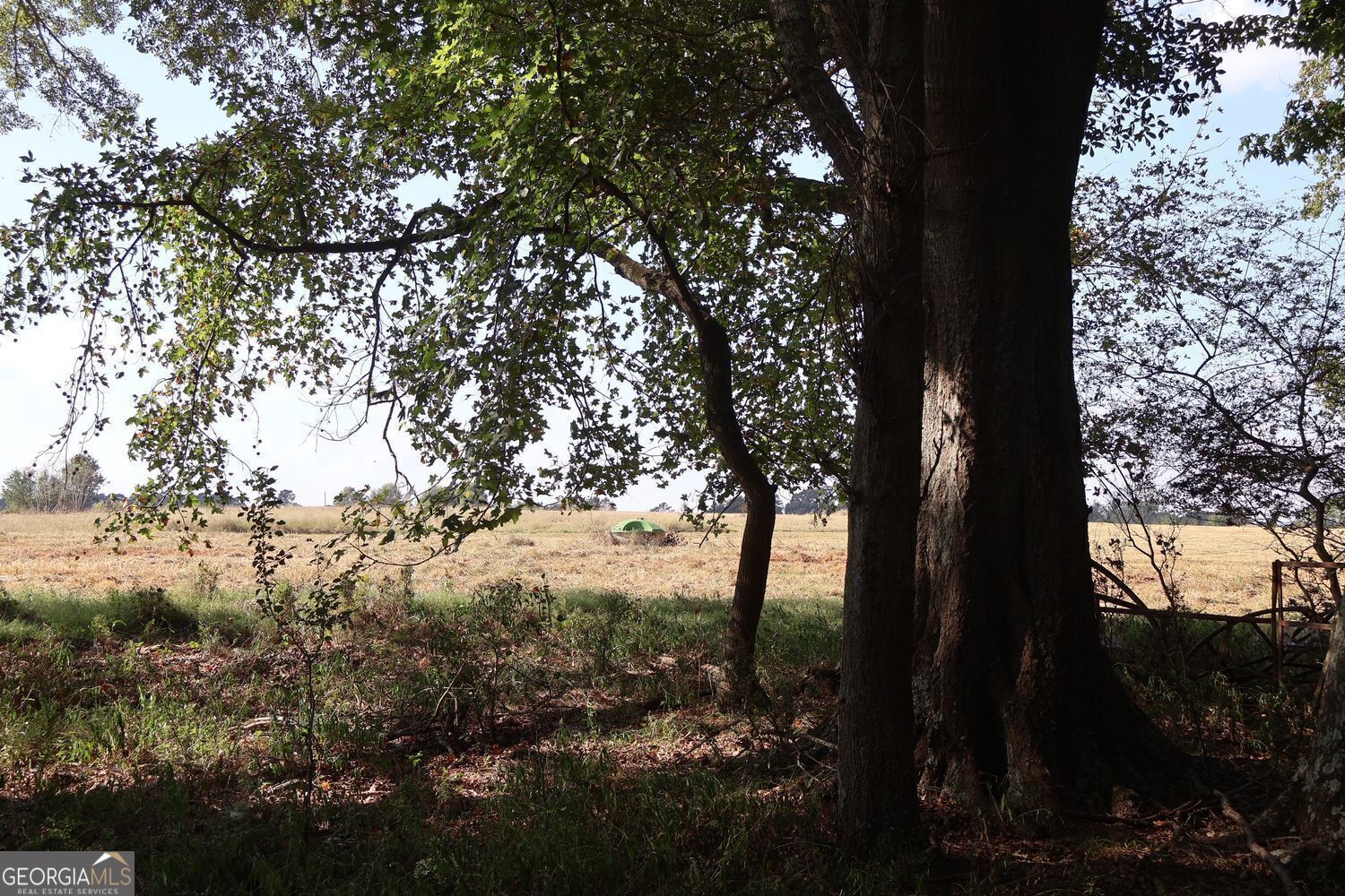 The Rock, Georgia, 30285, United States, ,Land,For Sale,1963371