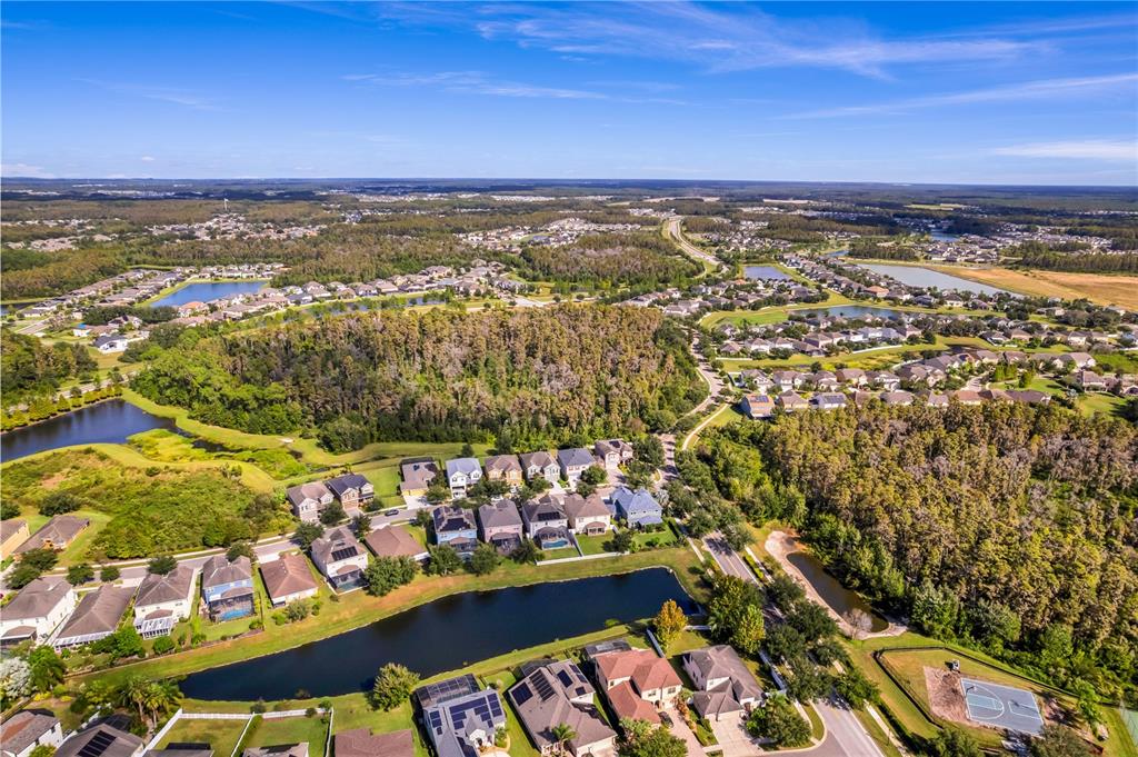 Tampa, Florida, 33647, United States, 5 Bedrooms Bedrooms, ,3 BathroomsBathrooms,Residential,For Sale,1987732