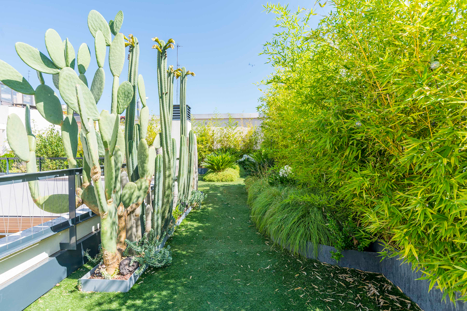  Penthouse in central Madrid with 420 m² of terrace - 物件實景