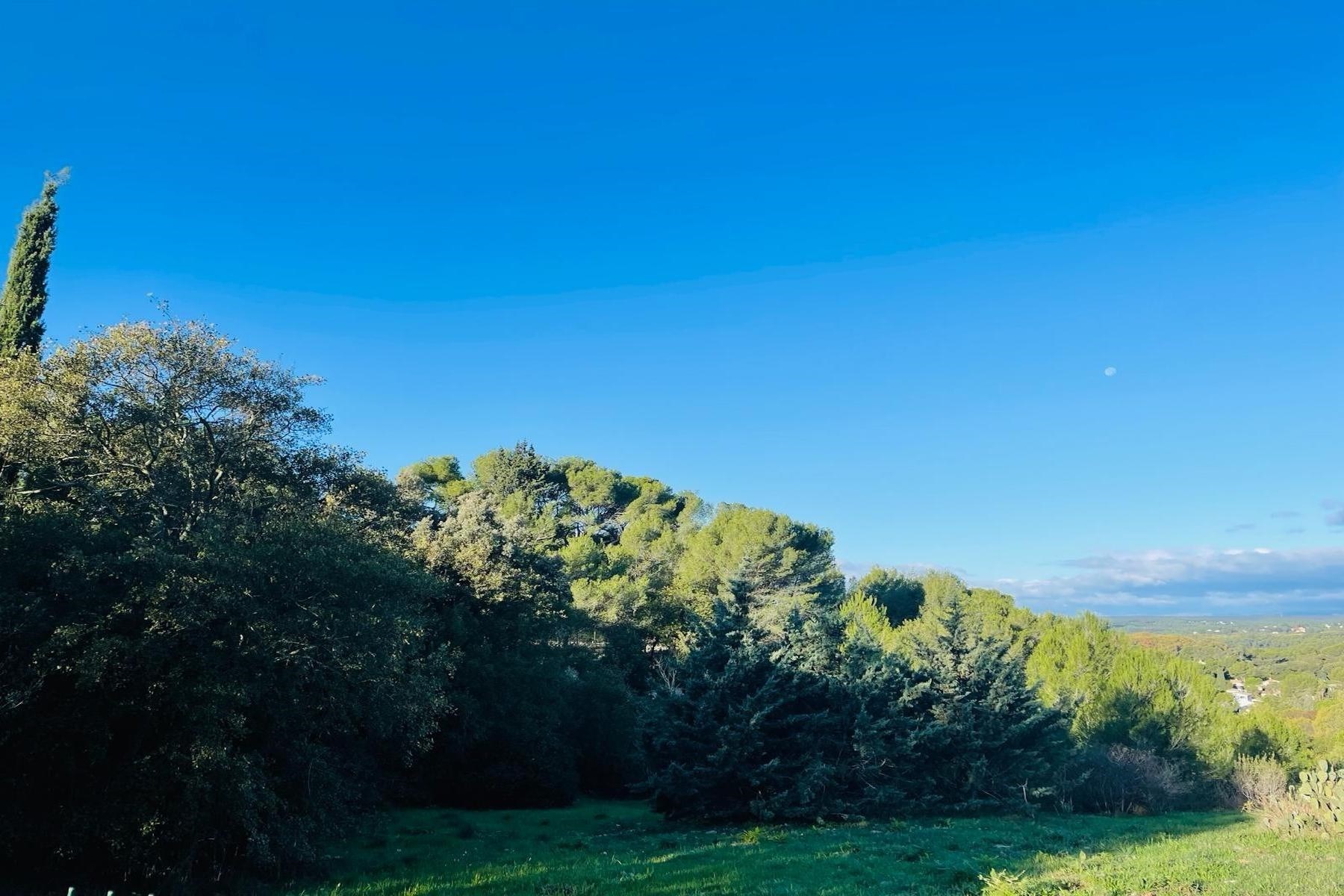  Exceptional property – Plan des Quatre Seigneurs, Montpellier - 物件實景