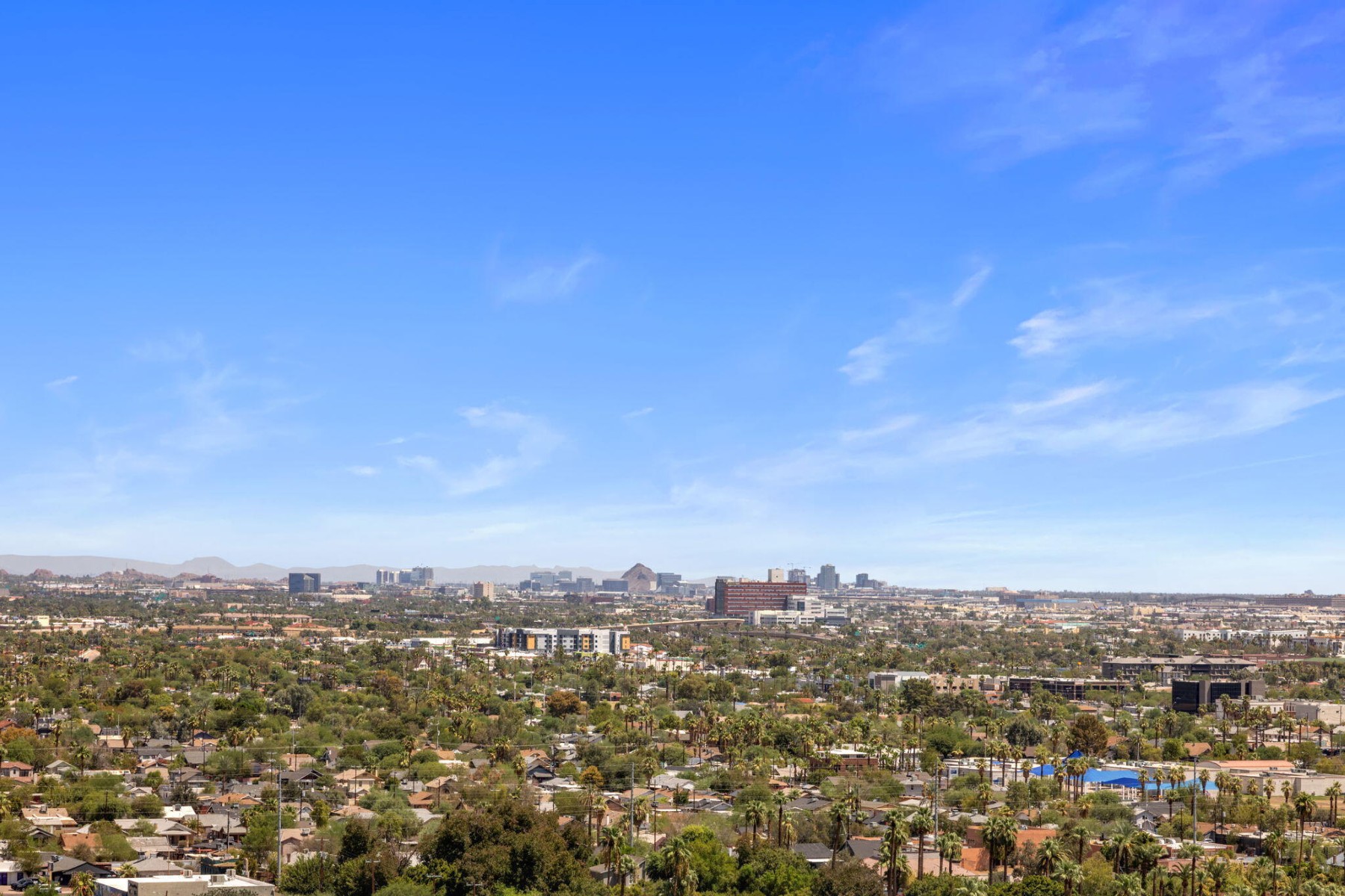  2323 N Central Ave¦Phoenix, AZ - 物件實景
