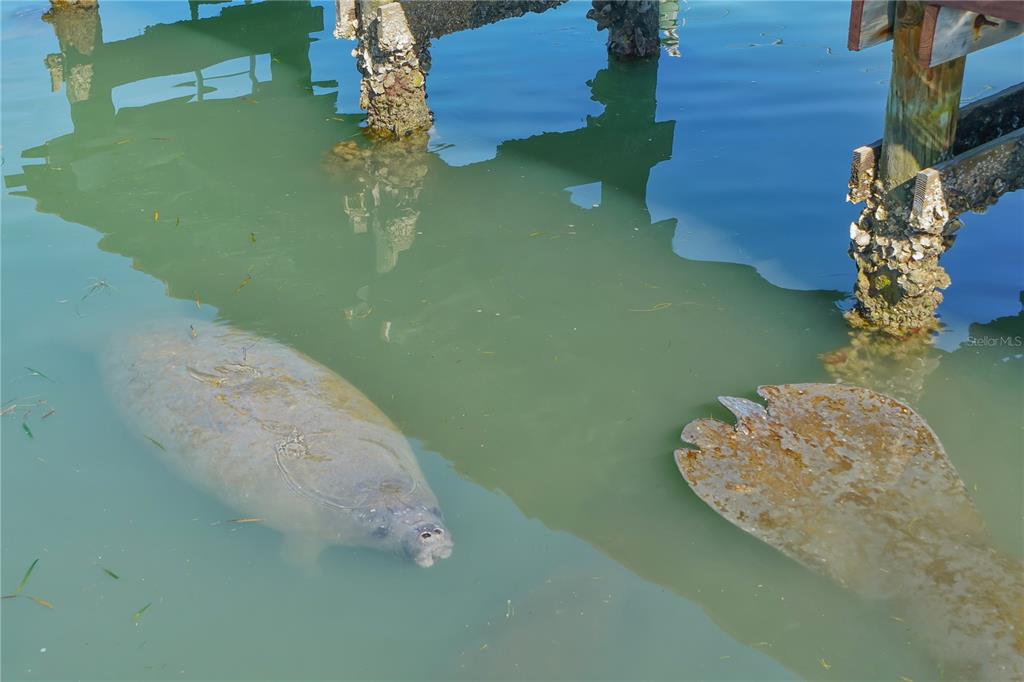 Sarasota, Florida, 34236, United States, 2 Bedrooms Bedrooms, ,2 BathroomsBathrooms,Residential,For Sale,1932959