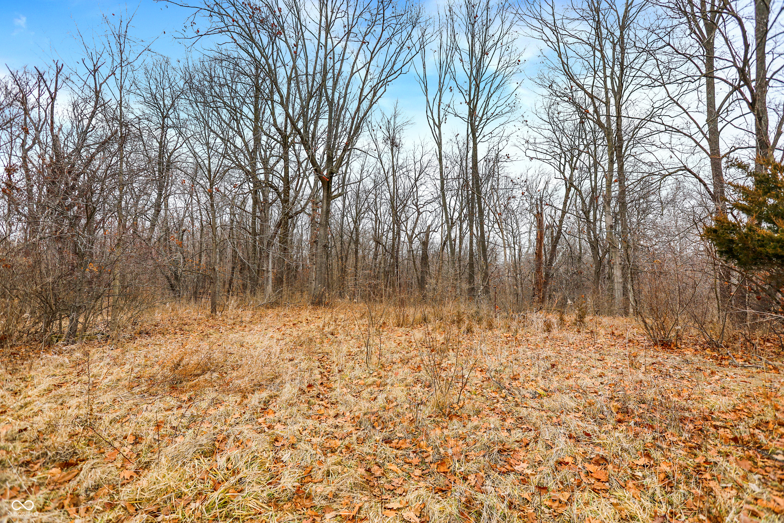 Arcadia, Indiana, 46030, United States, ,Residential,For Sale,2009642