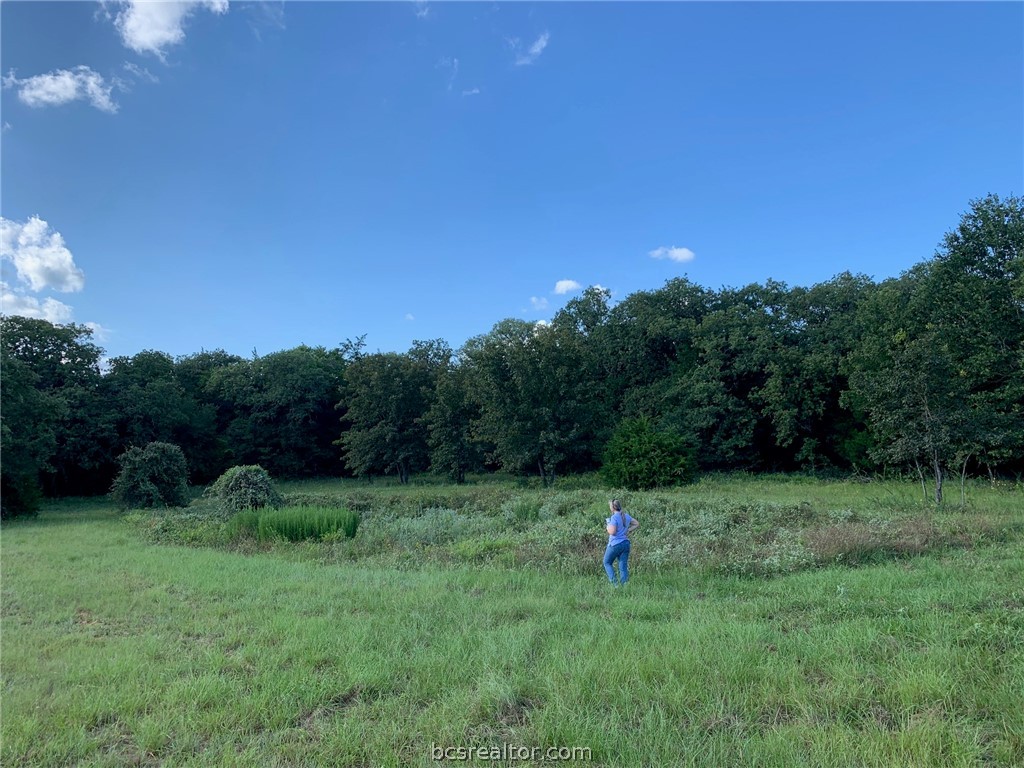 5632 County Road 317, Caldwell, Texas, 77836, United States, ,Land,For Sale,5632 County Road 317,1609859