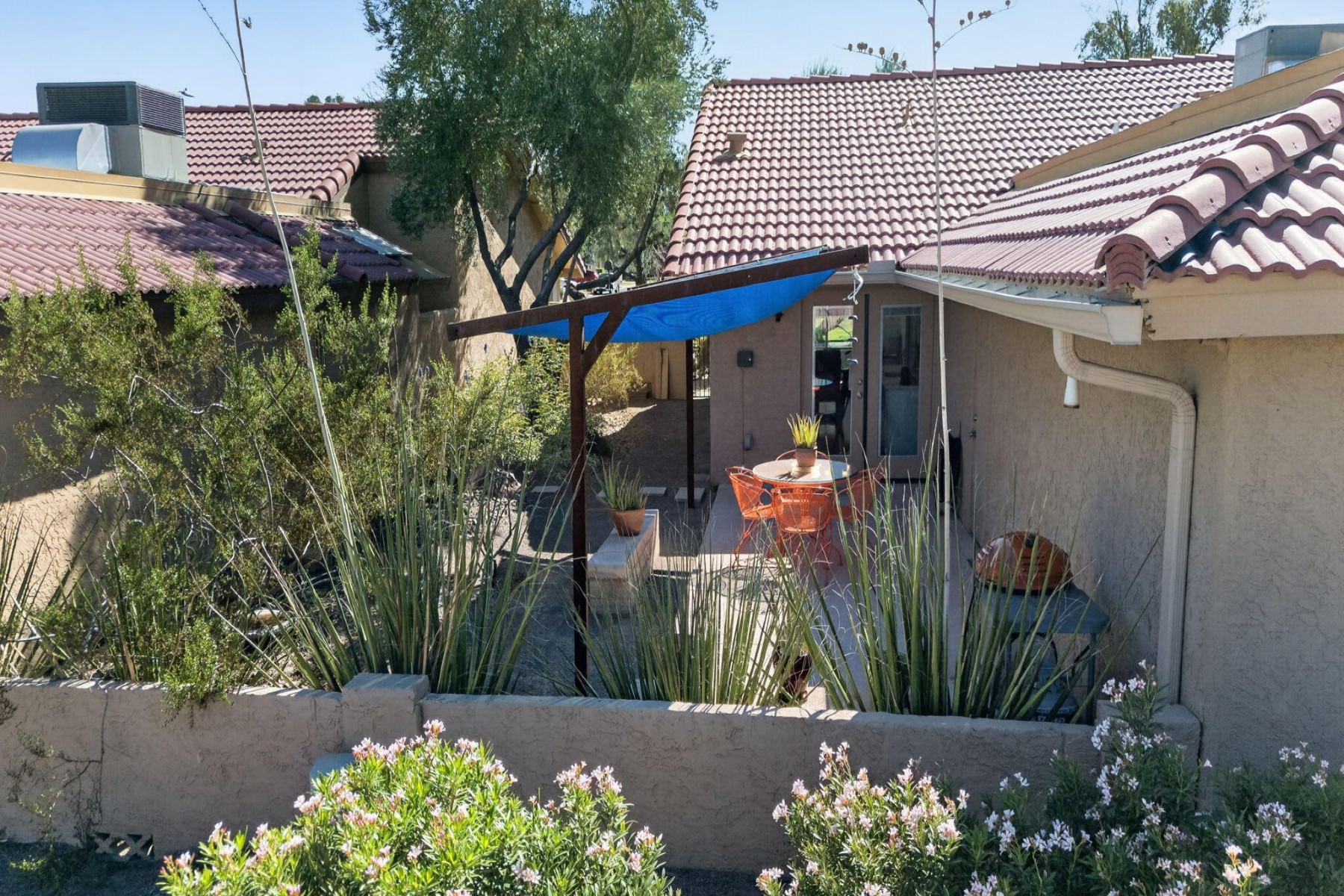  12037 S Half Moon Drive  Phoenix, AZ - 物件實景