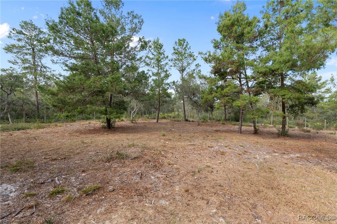 Dunnellon, Florida, 34433, United States, 4 Bedrooms Bedrooms, ,3 BathroomsBathrooms,Residential,For Sale,2008614