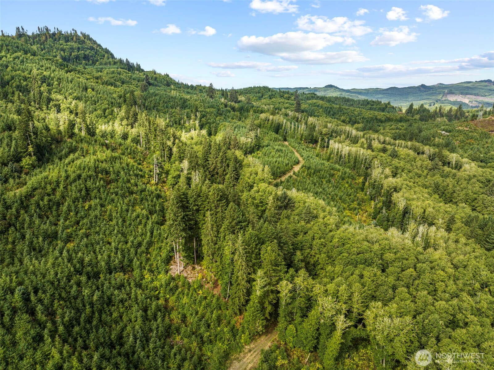 Skamokawa, Washington, 98647, United States, ,Land,For Sale,1903291